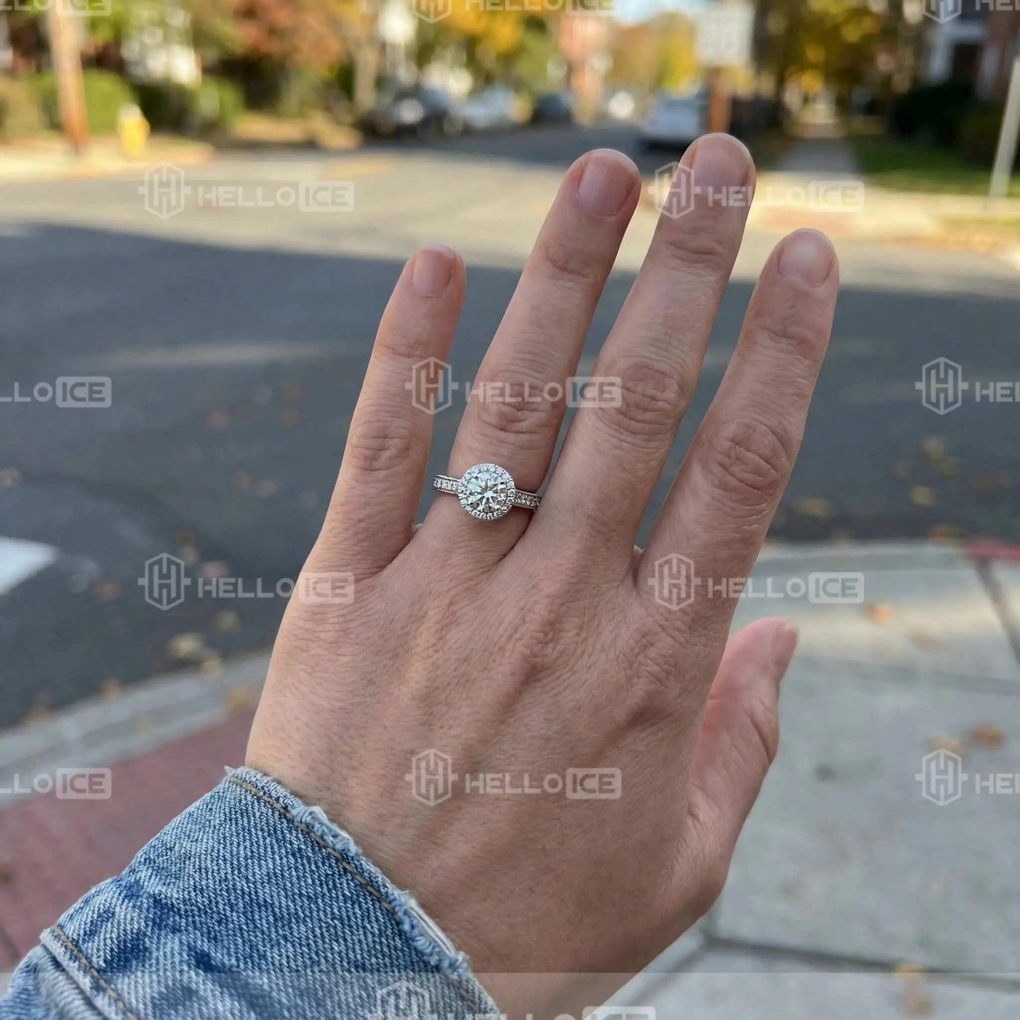 Helloice Review Image