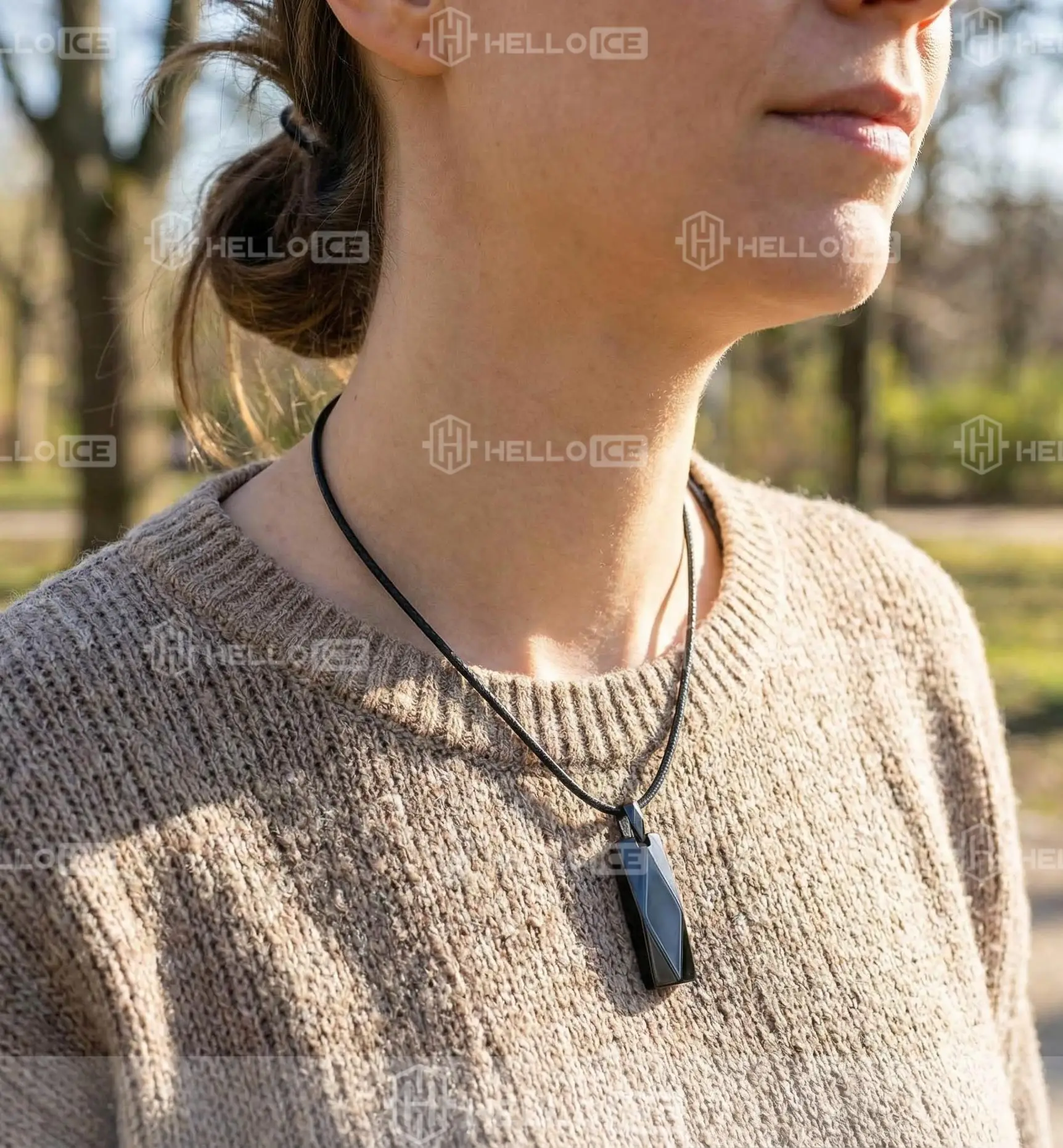 Helloice Review Image