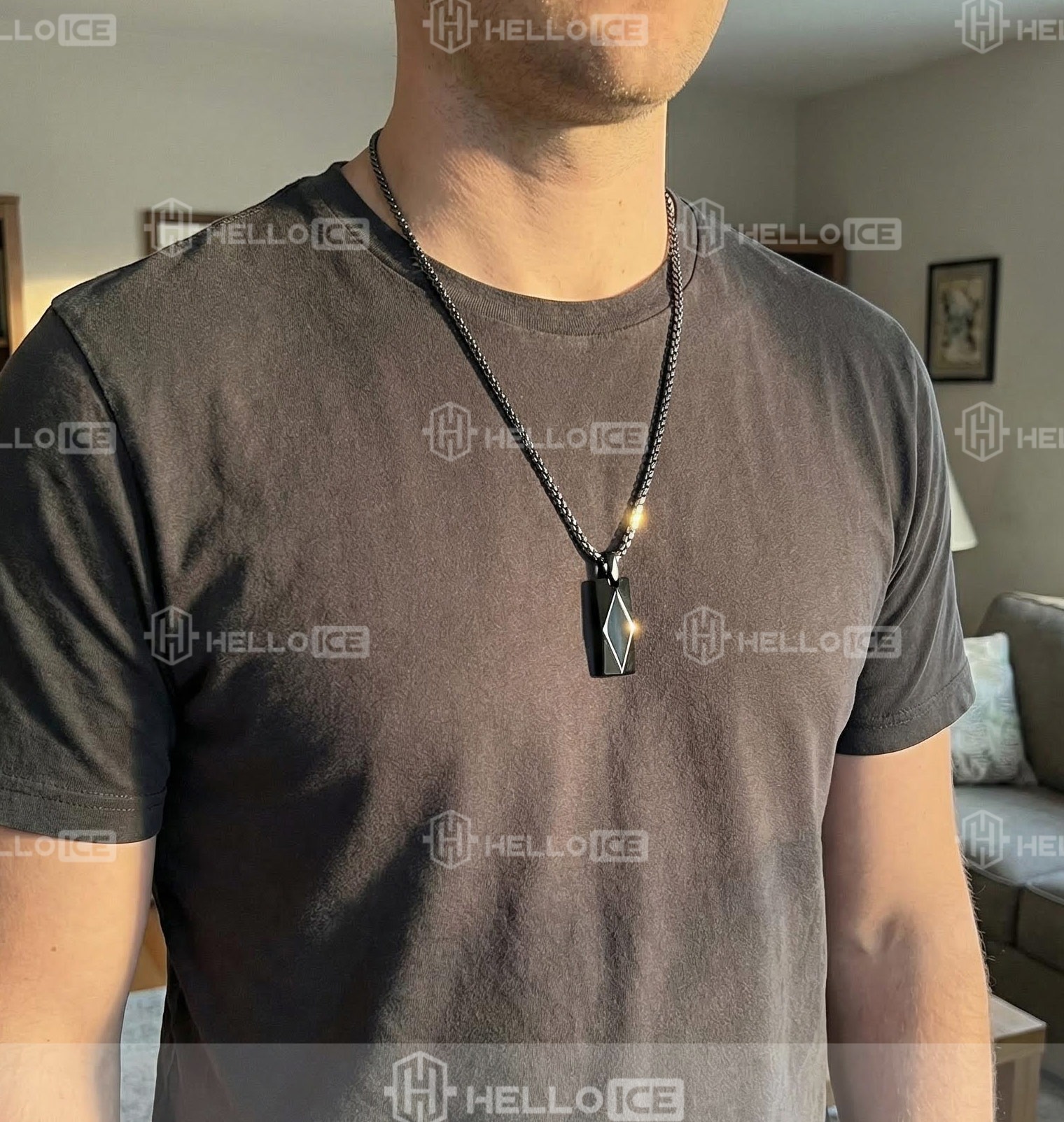 Helloice Review Image