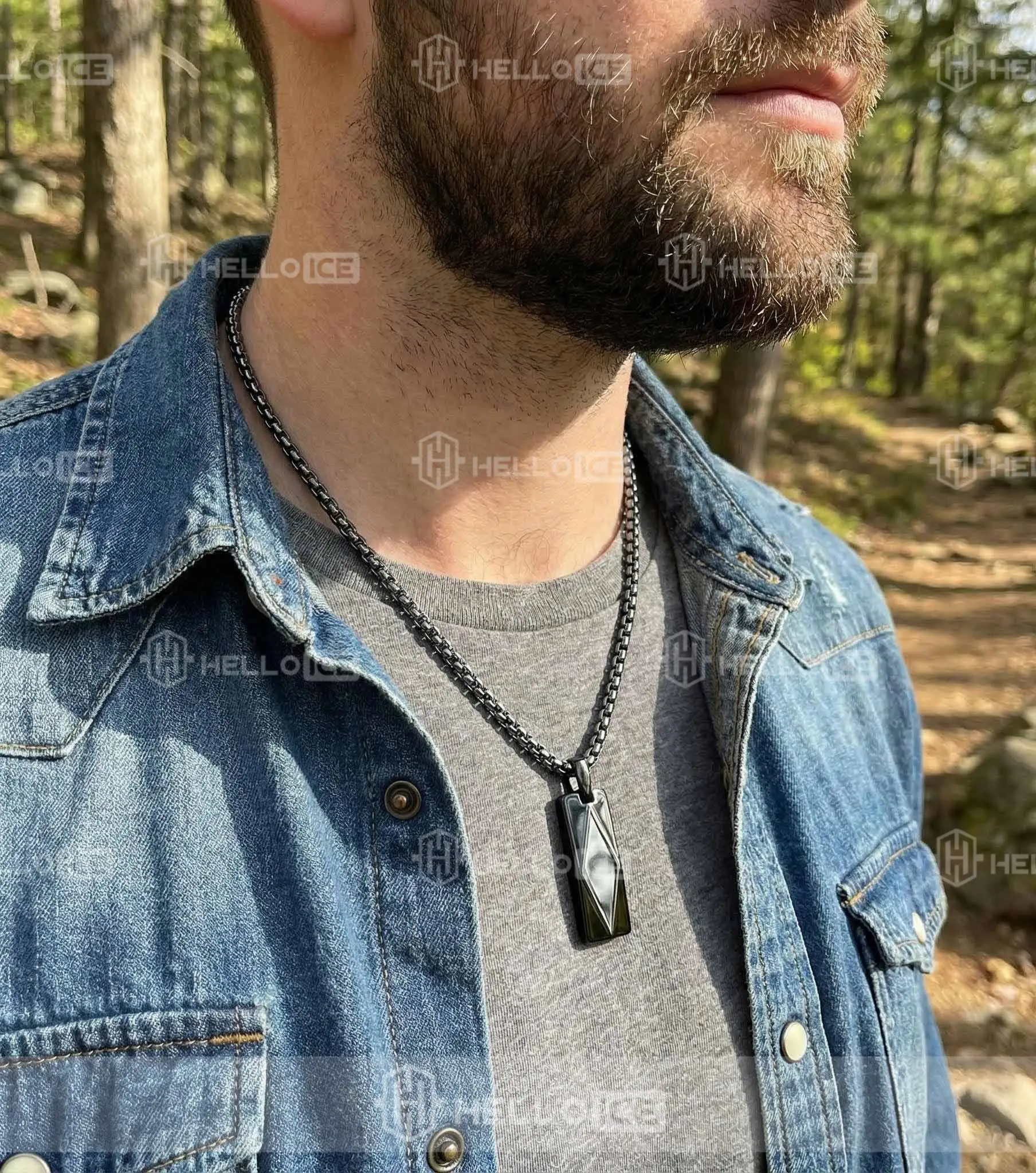 Helloice Review Image