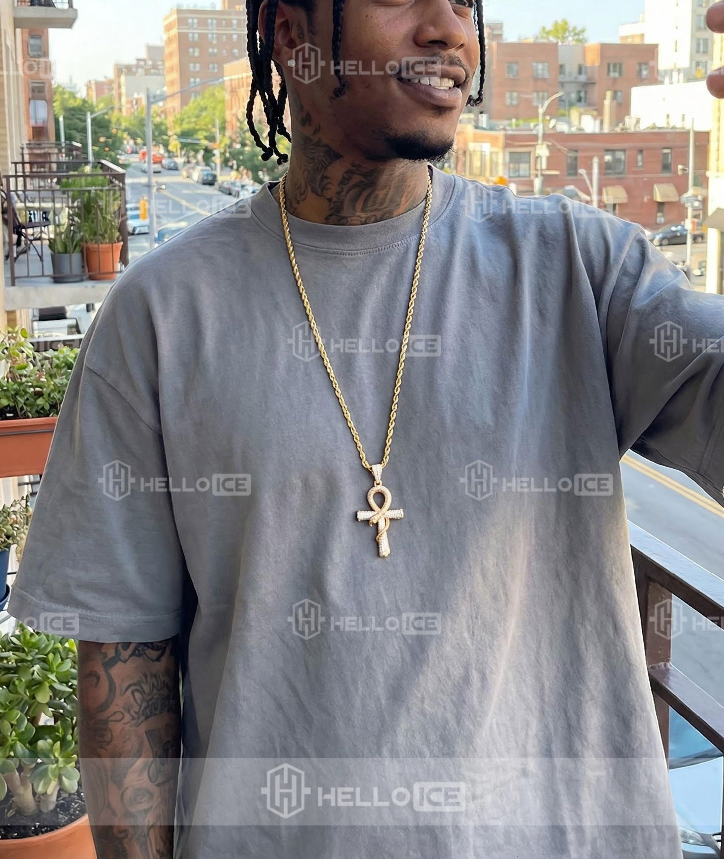 Helloice Review Image