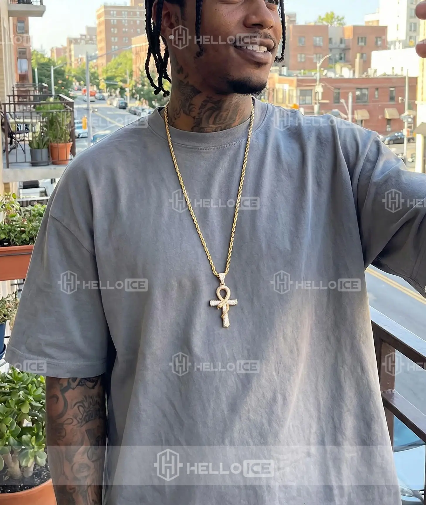 Helloice Review Image