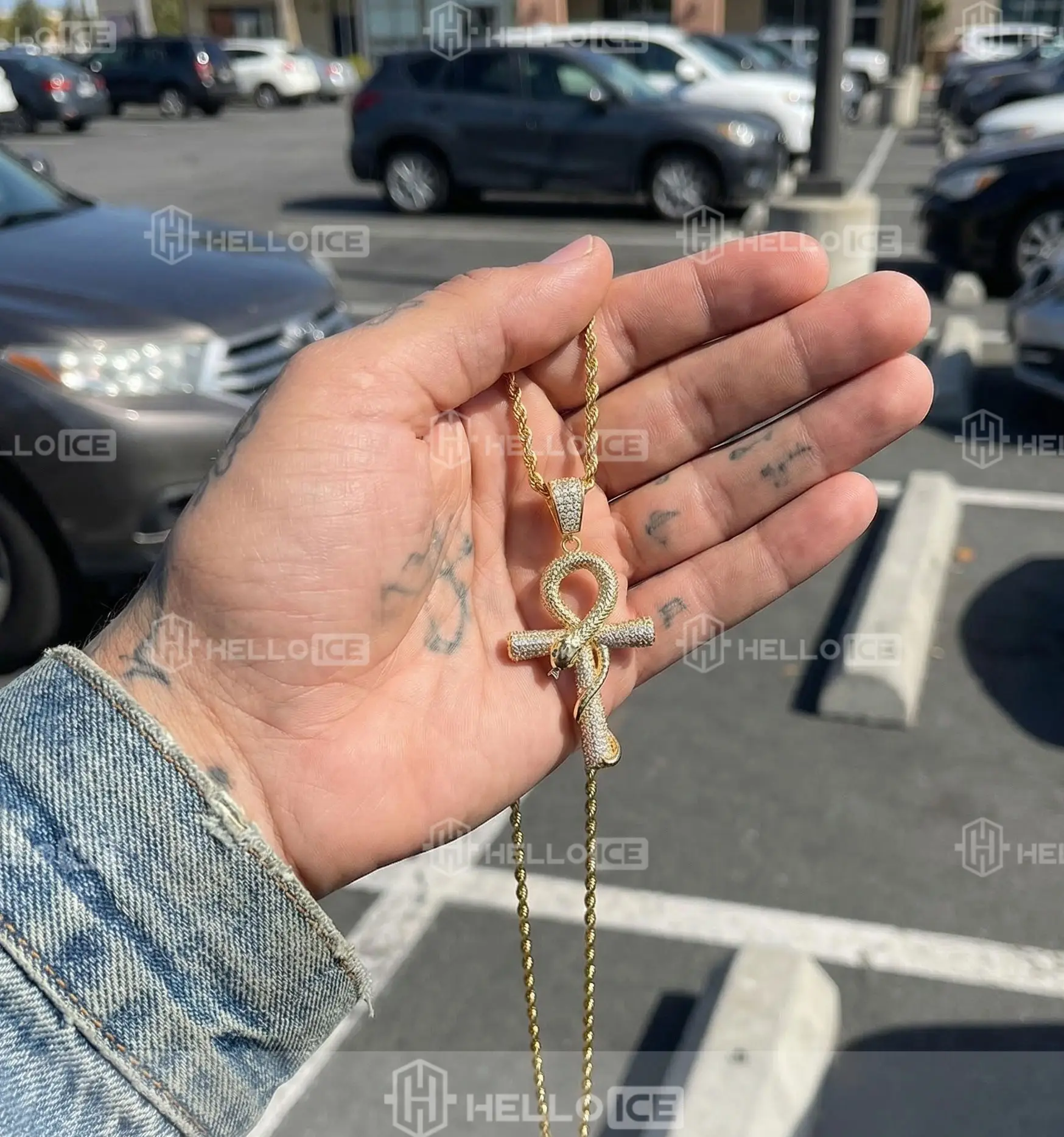 Helloice Review Image