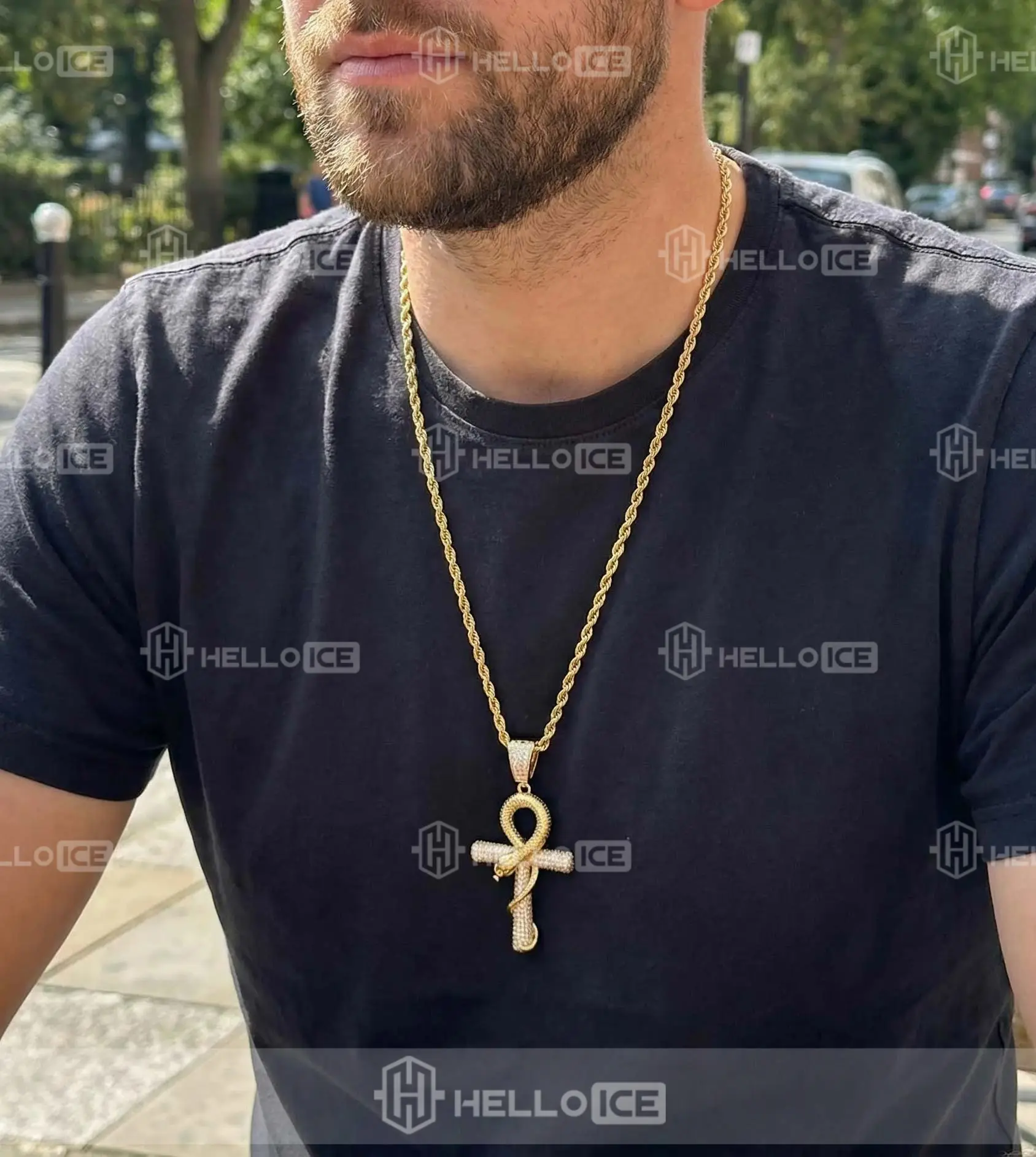 Helloice Review Image