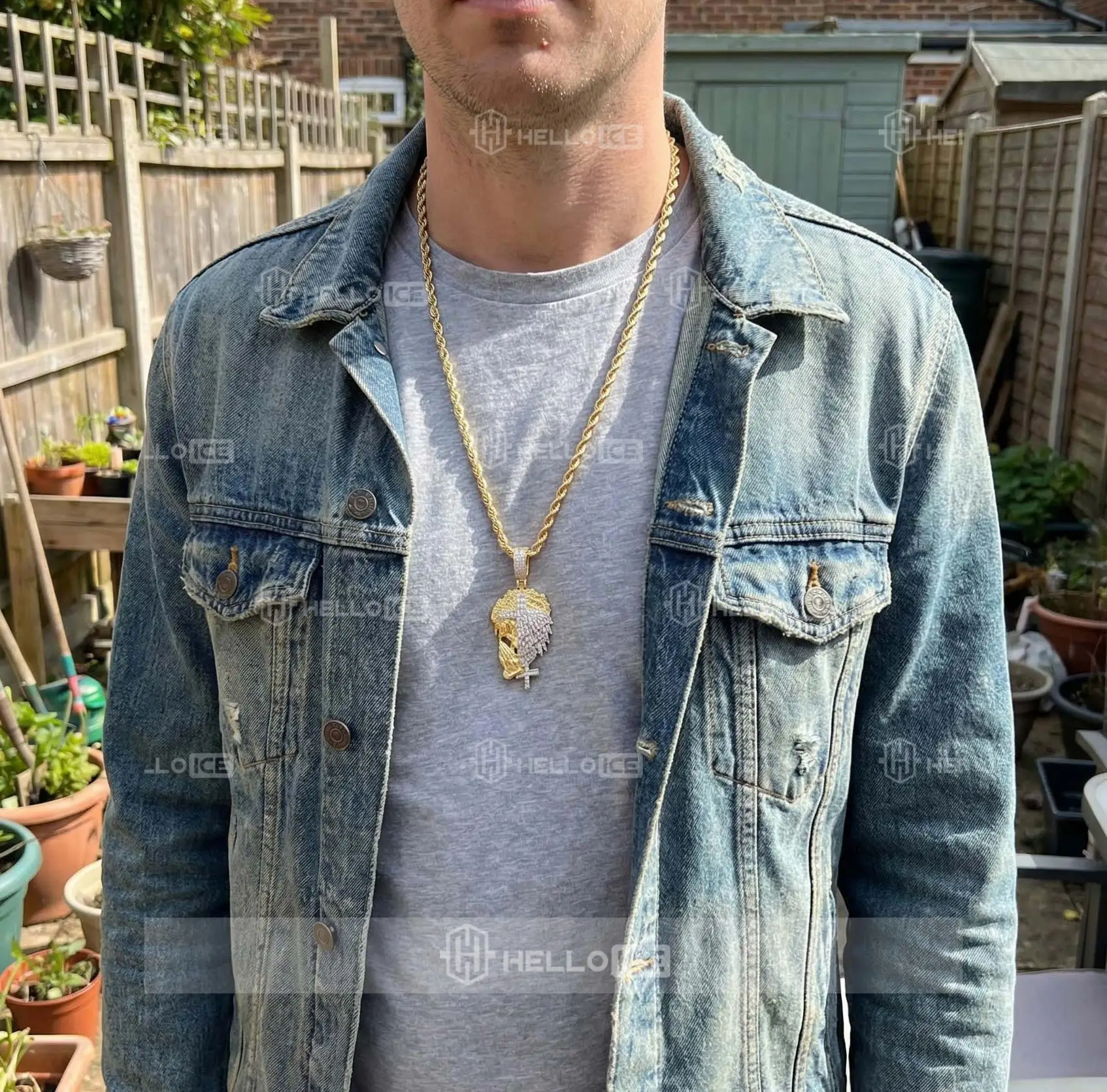 Helloice Review Image