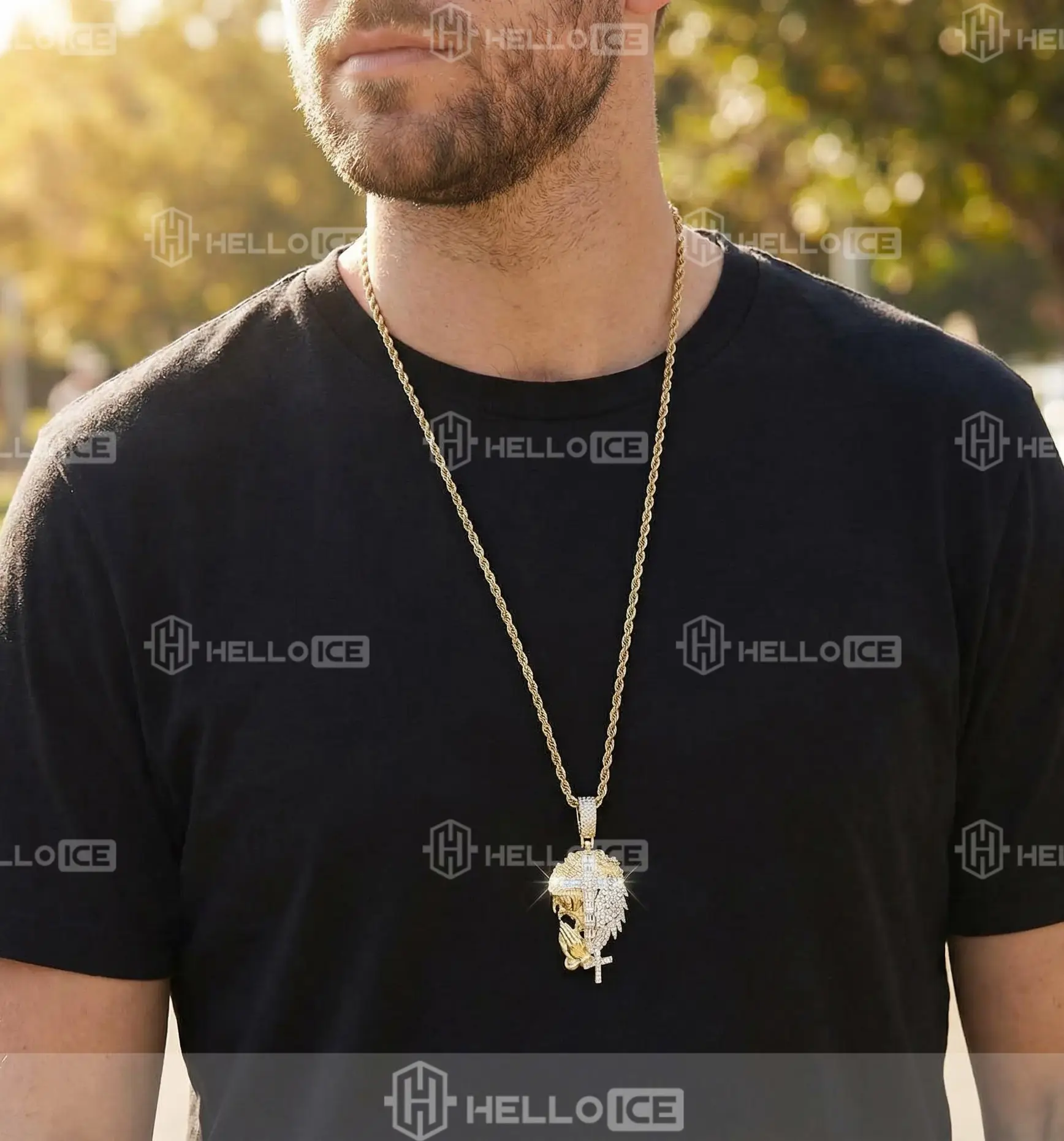 Helloice Review Image