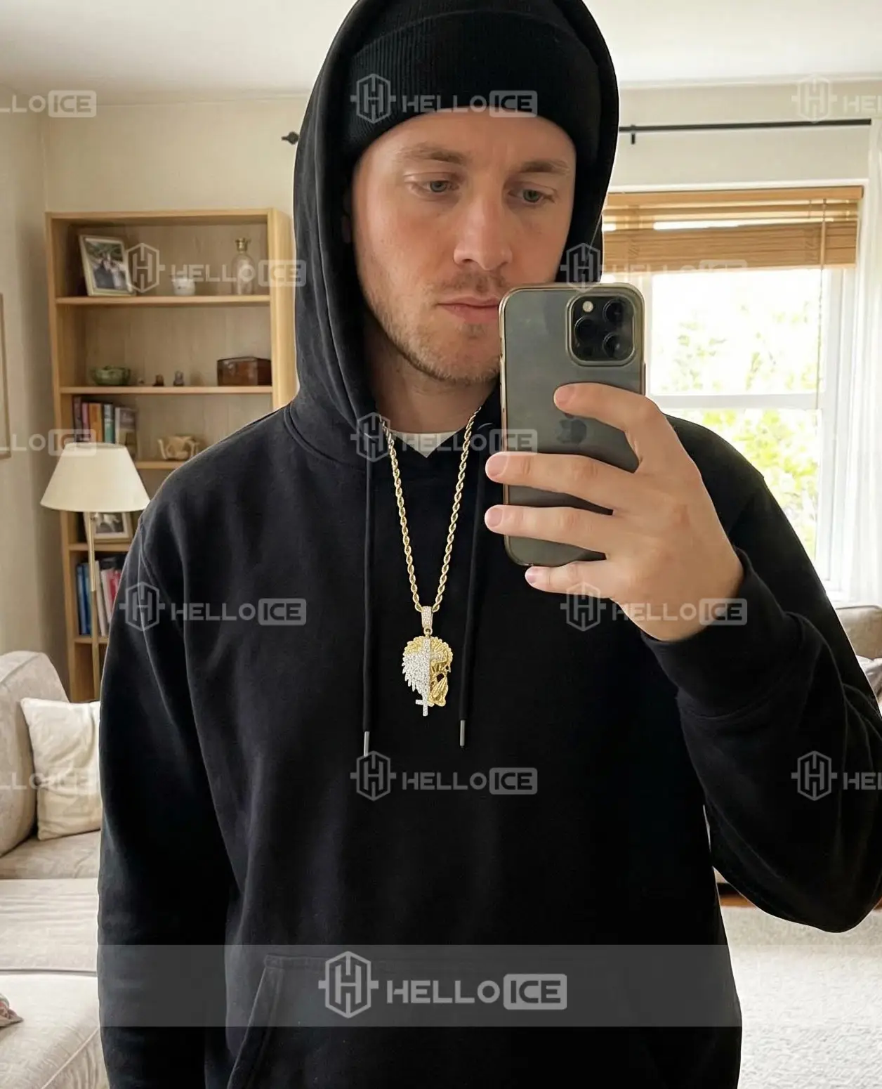 Helloice Review Image