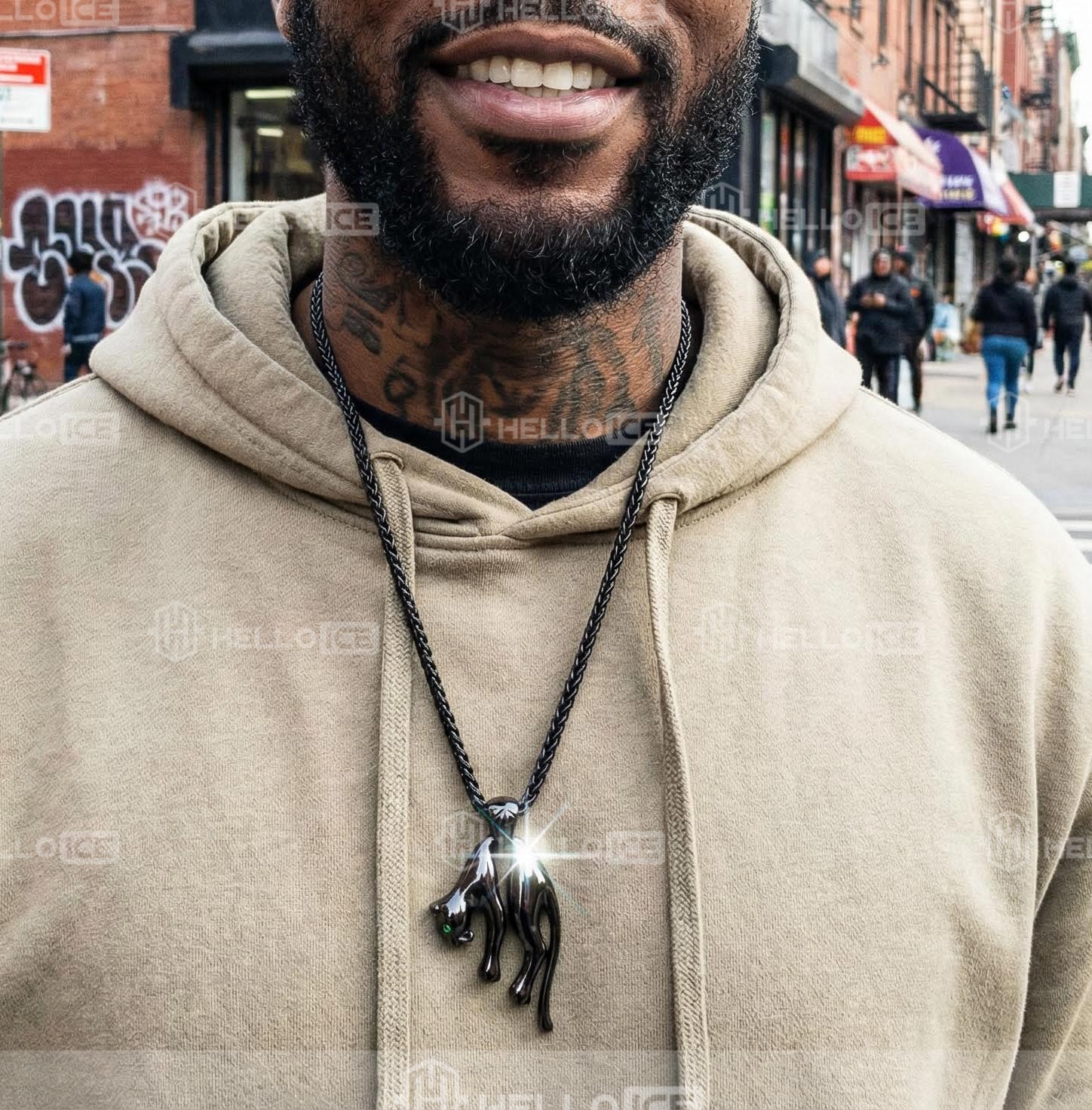 Helloice Review Image