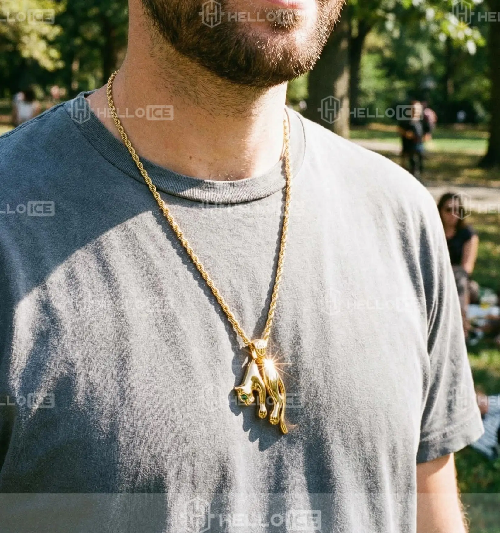 Helloice Review Image