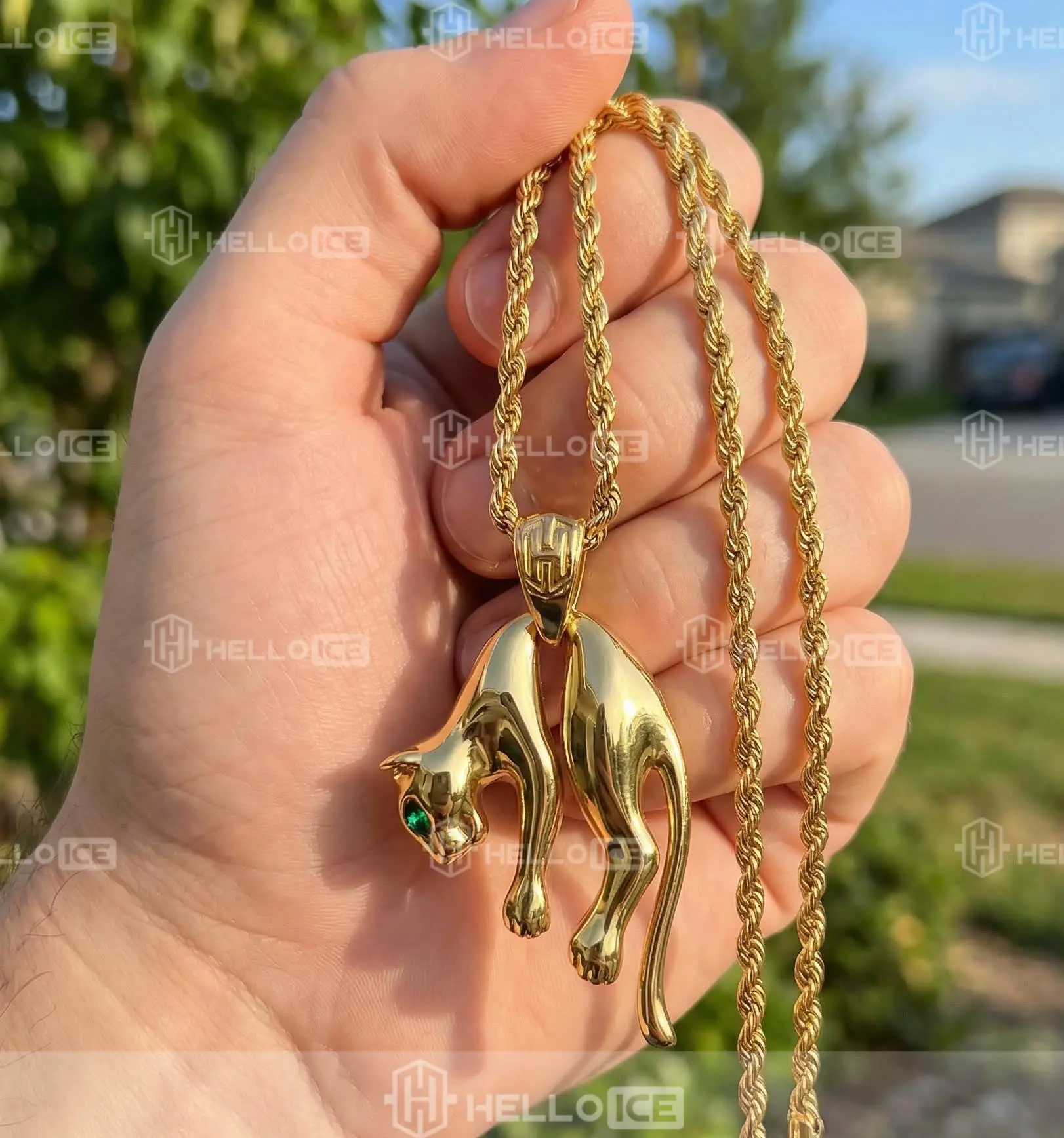 Helloice Review Image