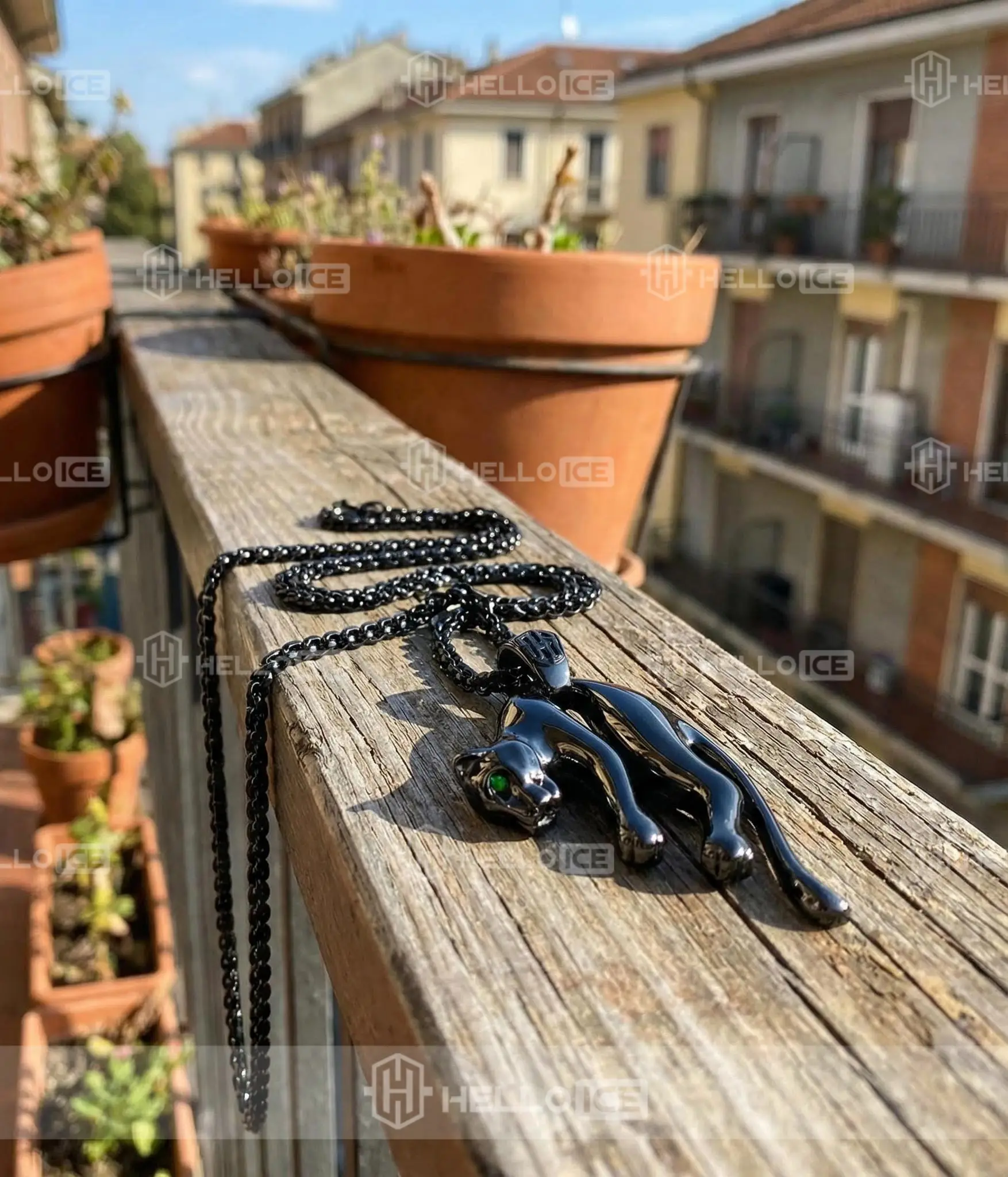 Helloice Review Image