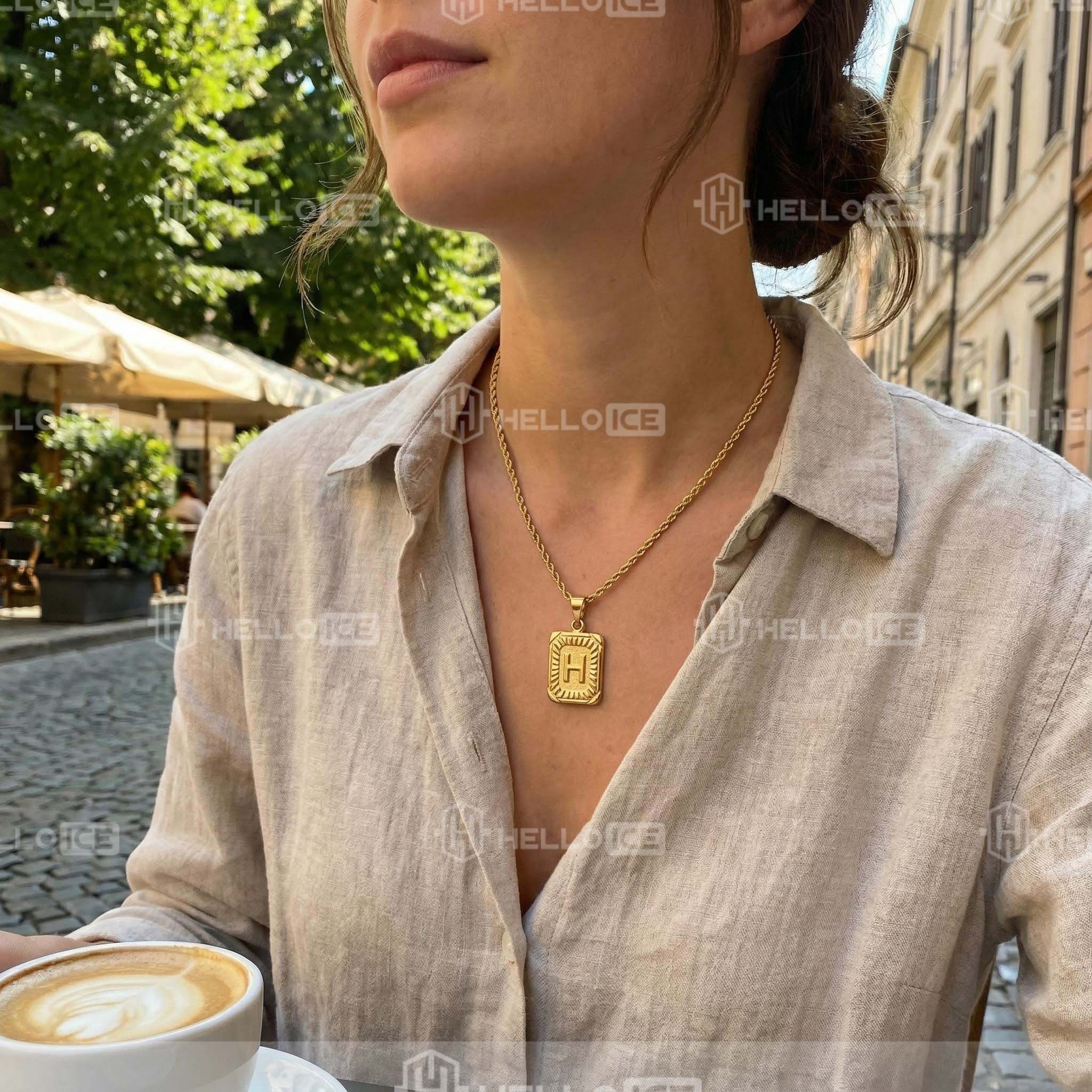 Helloice Review Image