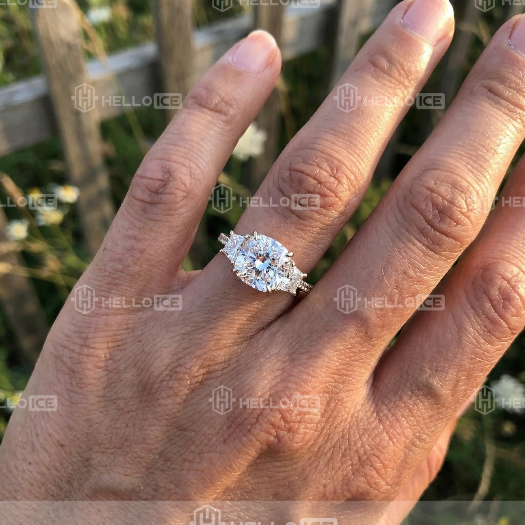 Helloice Review Image