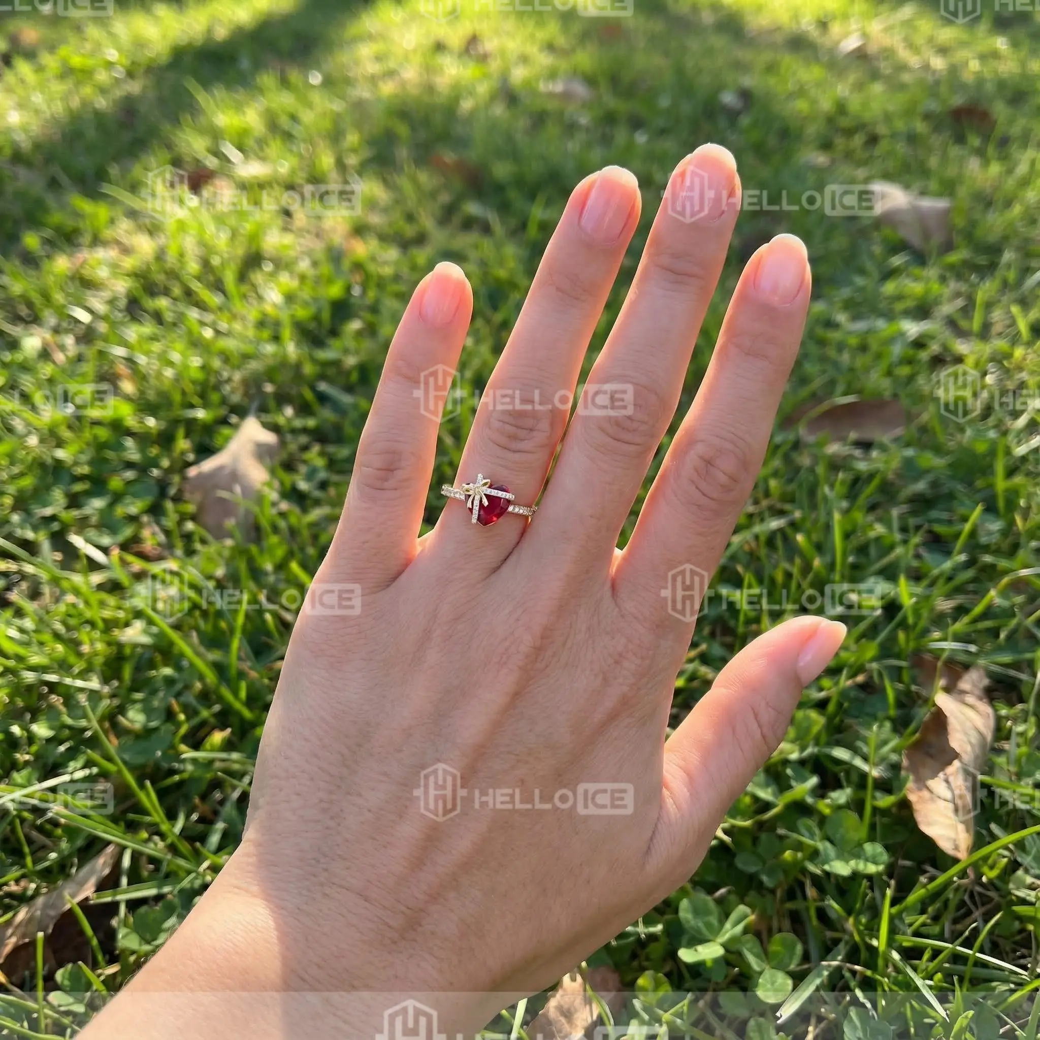 Helloice Review Image