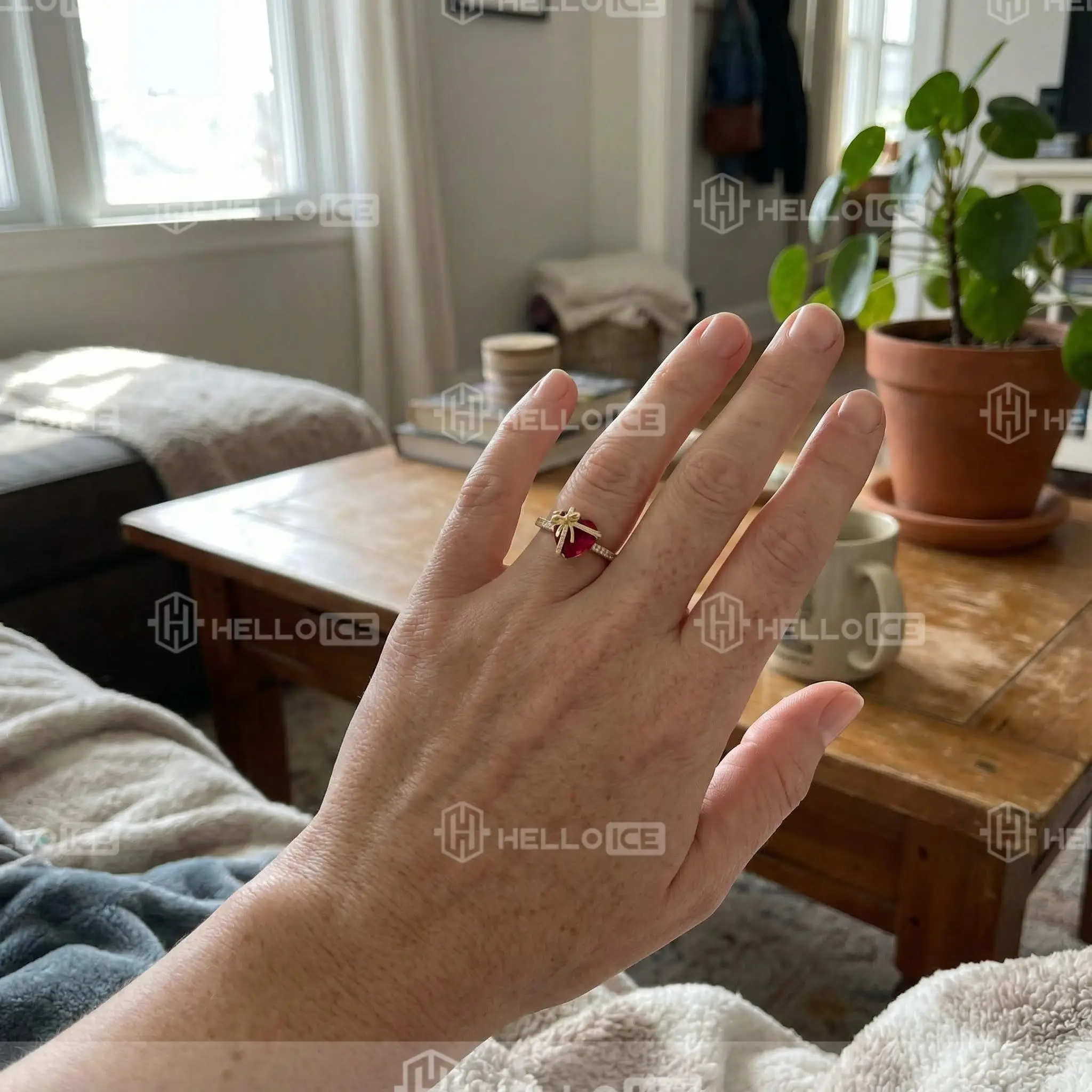 Helloice Review Image