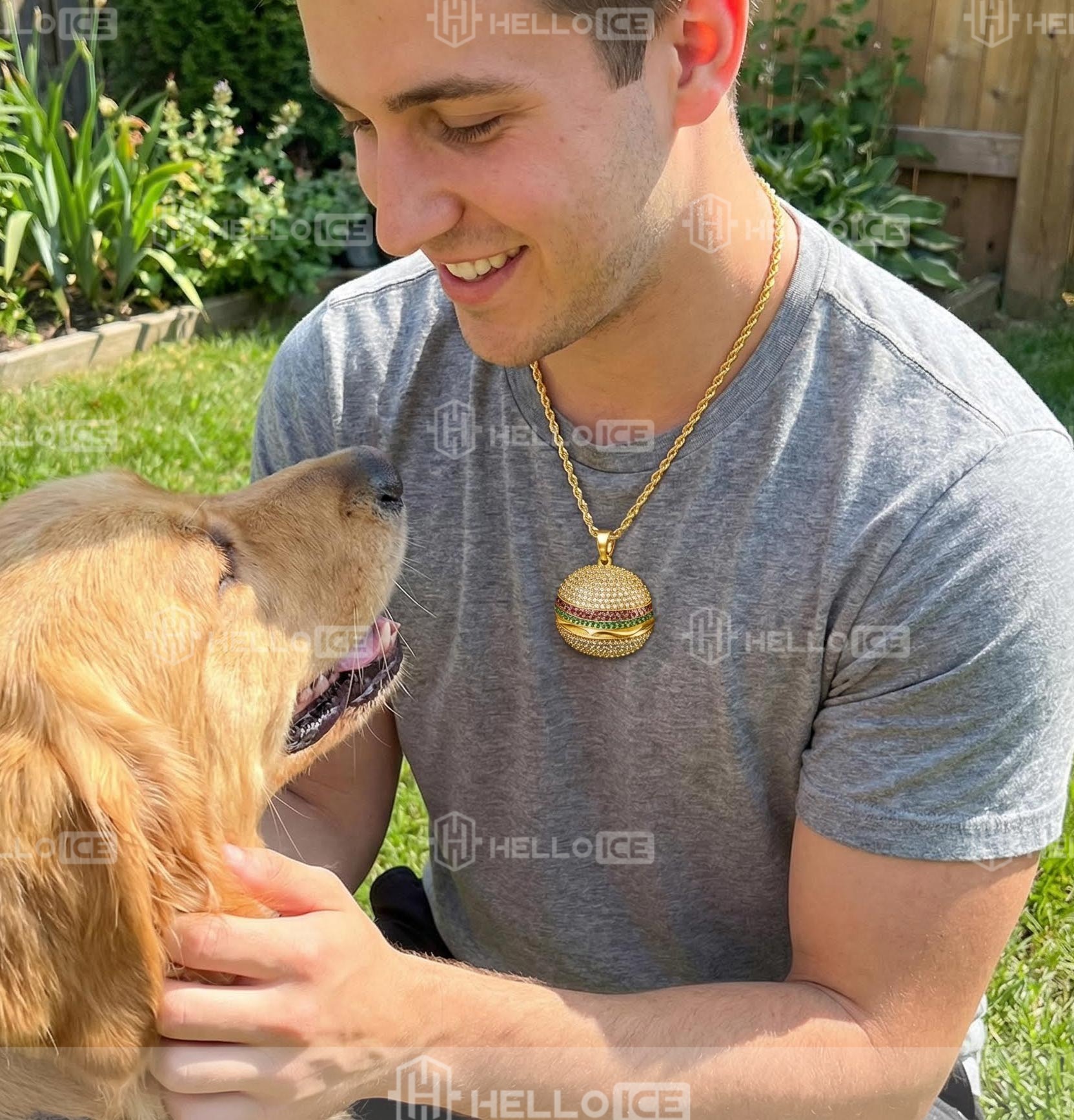 Helloice Review Image