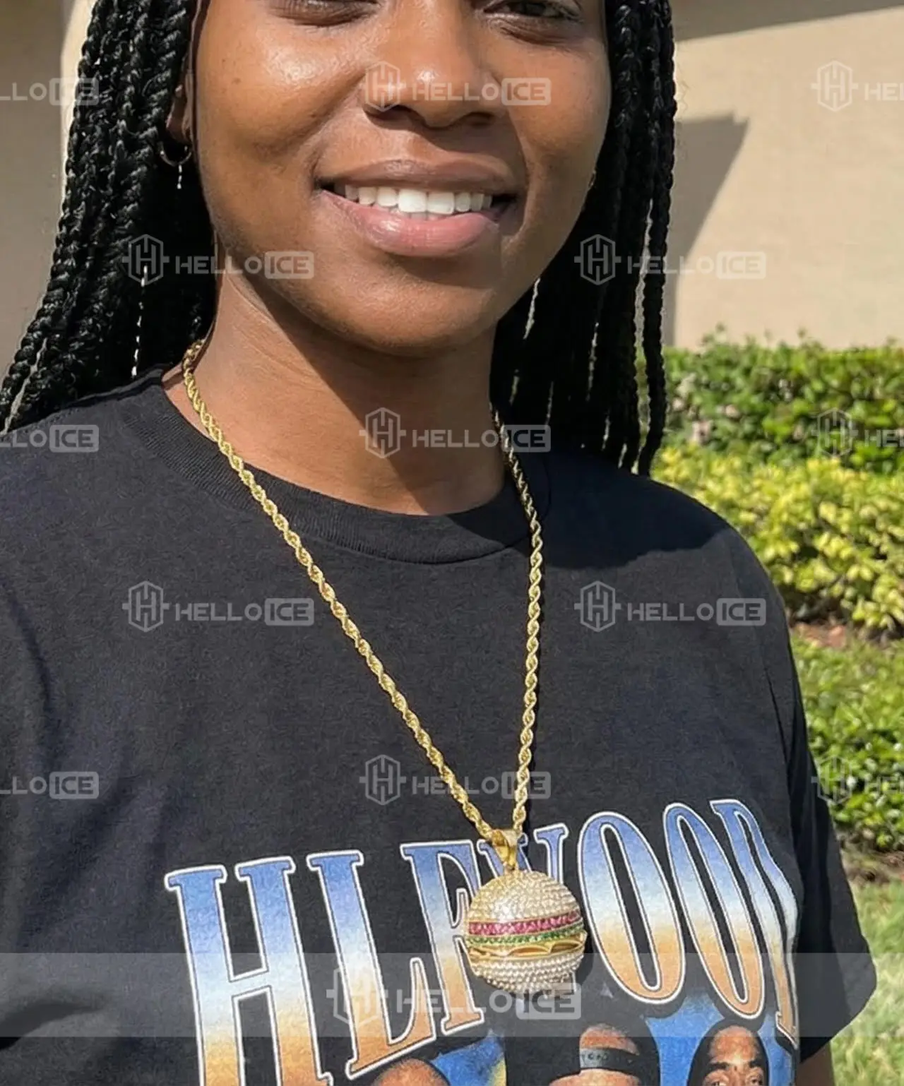 Helloice Review Image