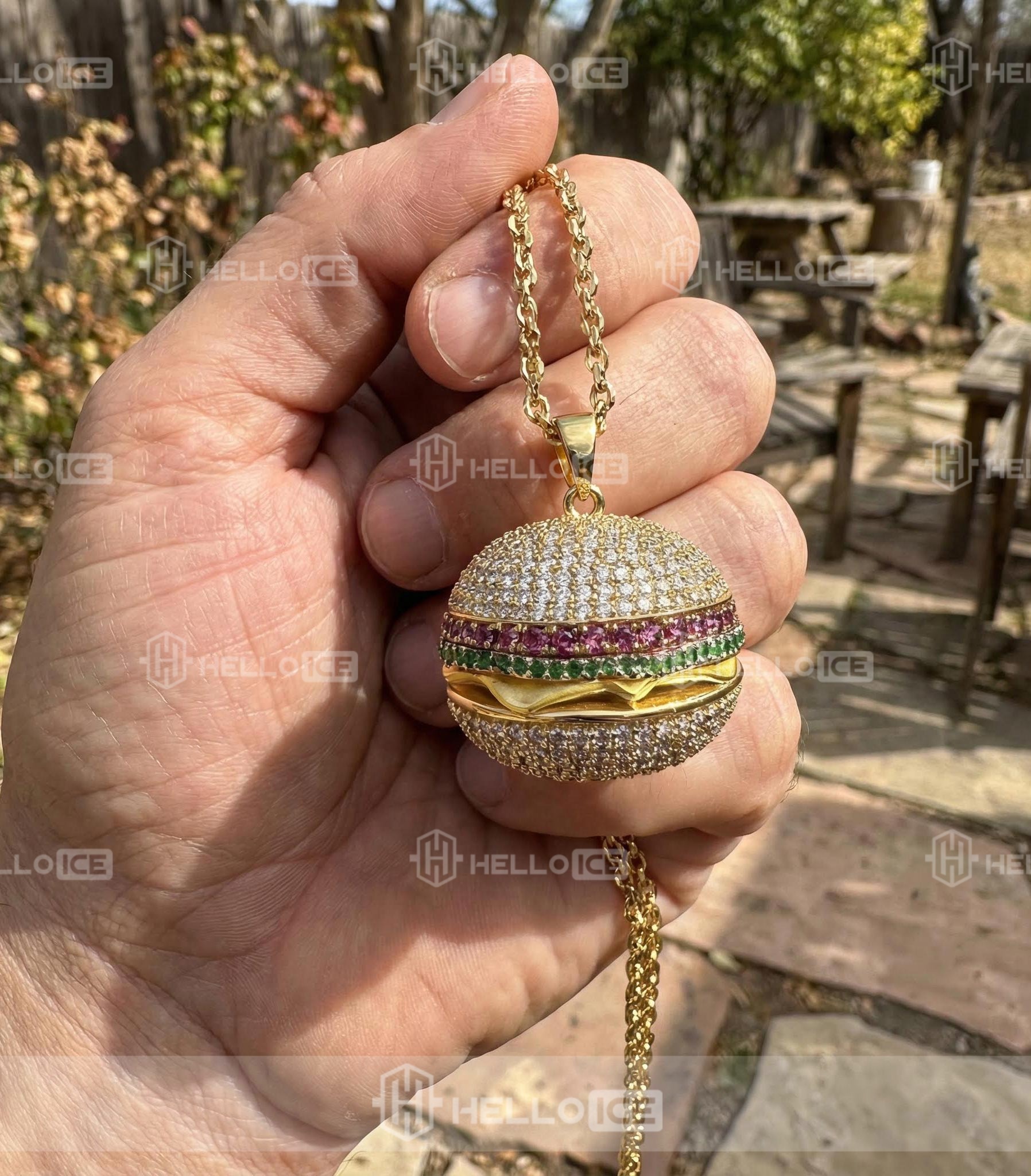 Helloice Review Image