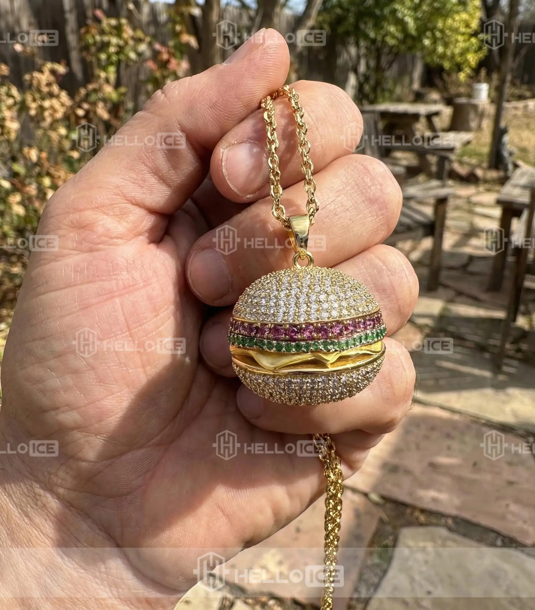 Helloice Review Image