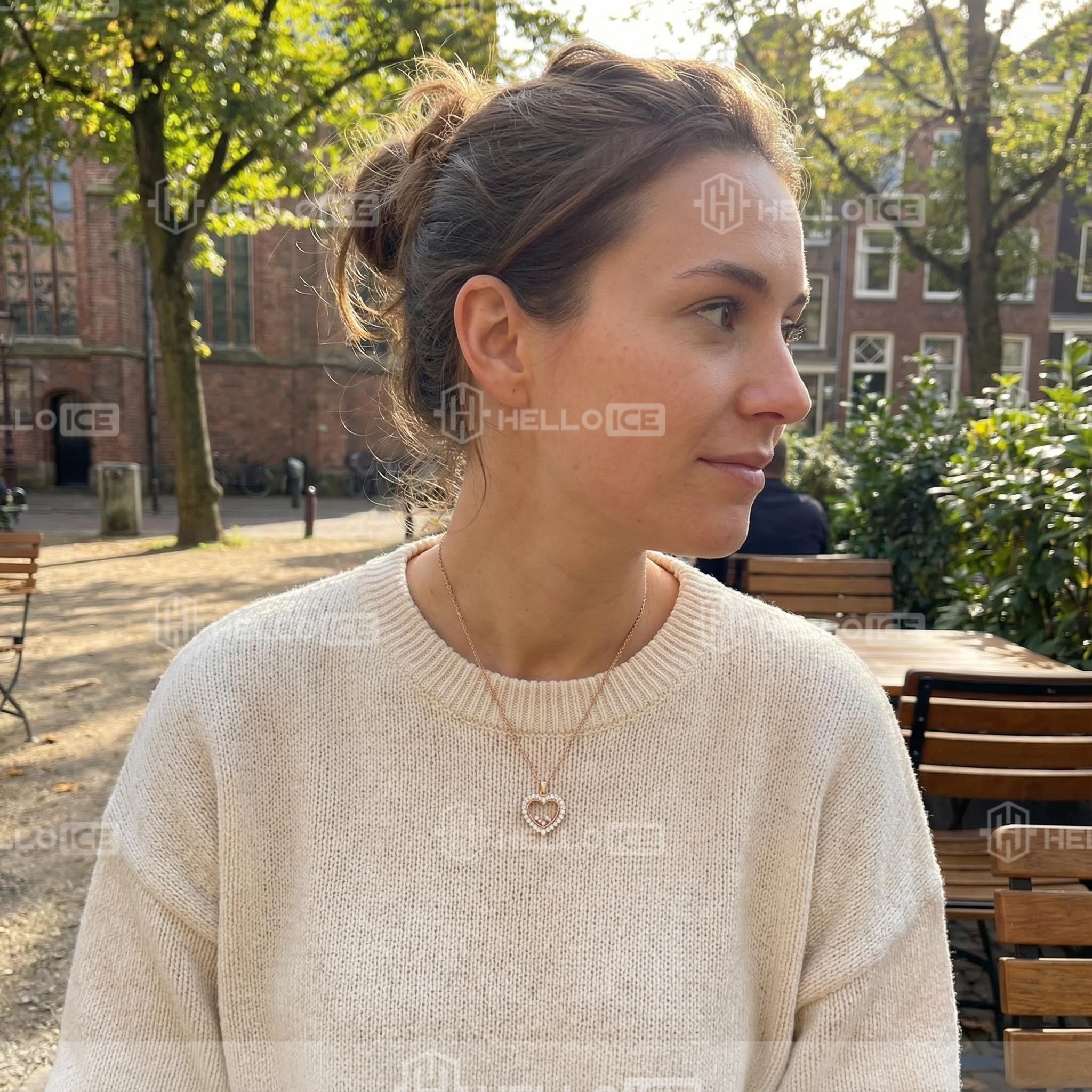 Helloice Review Image