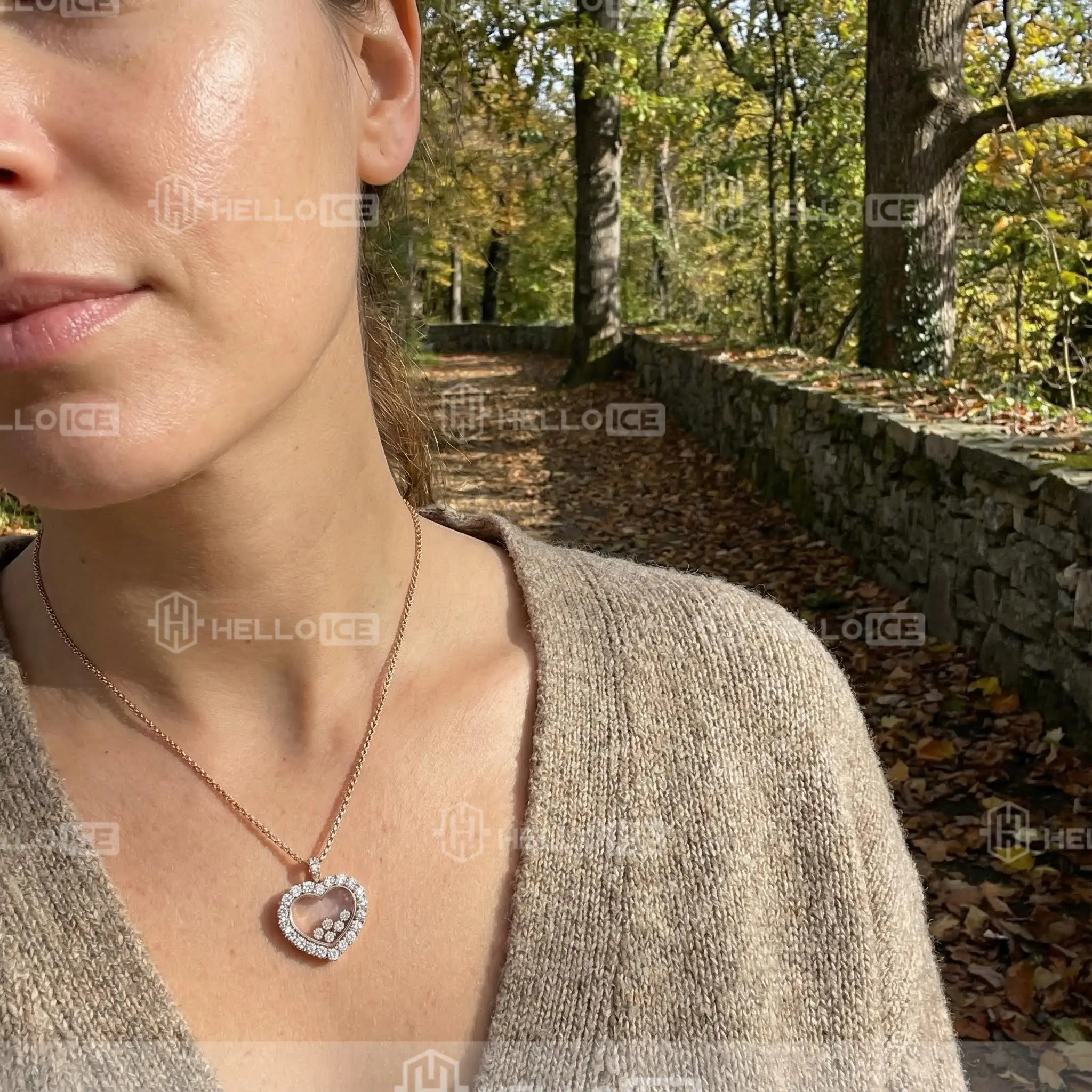 Helloice Review Image