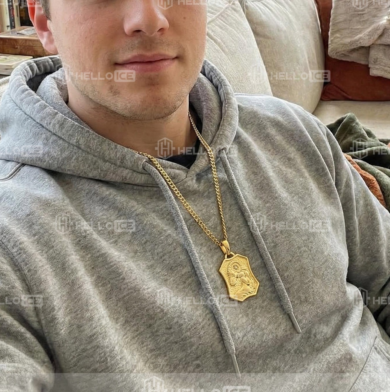 Helloice Review Image