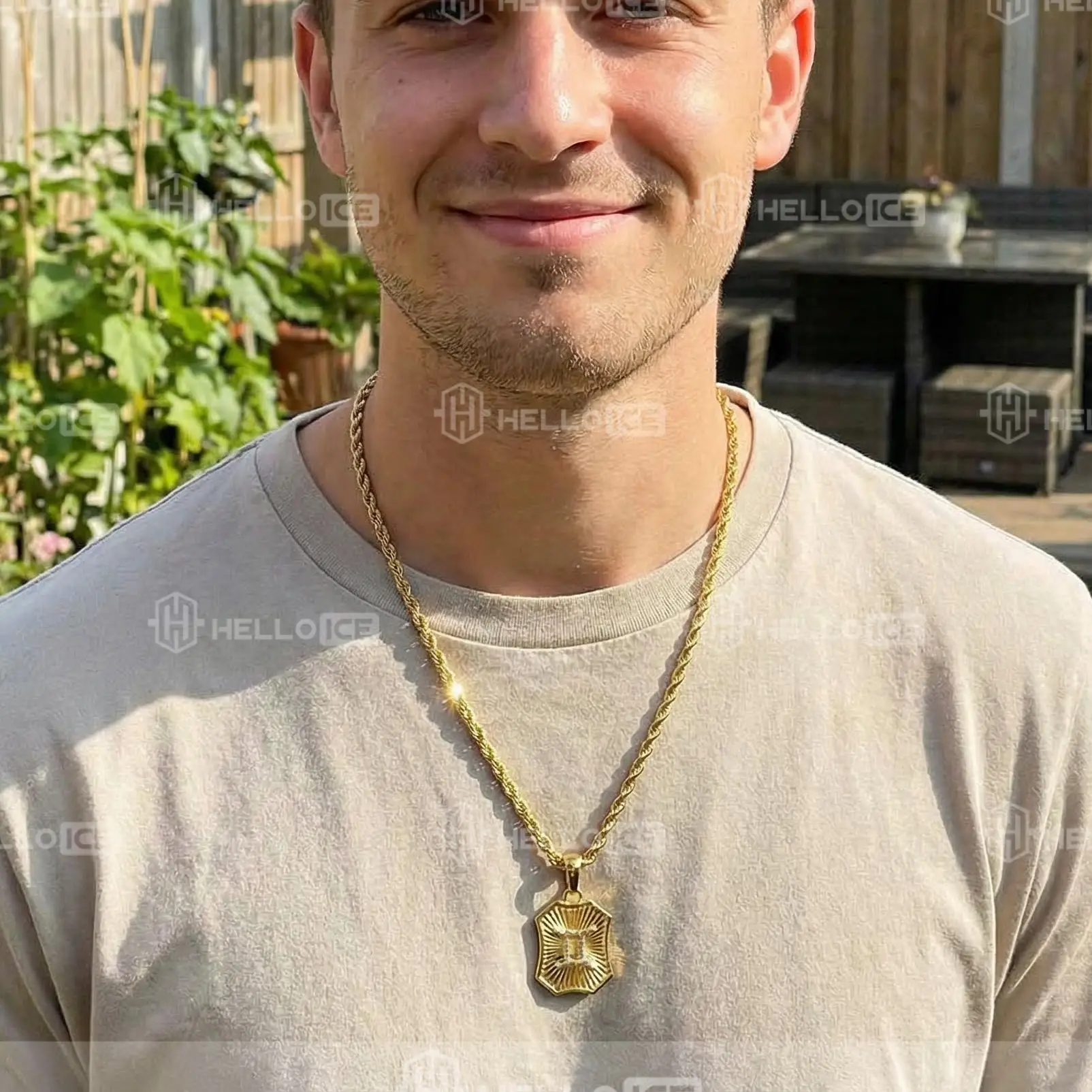 Helloice Review Image