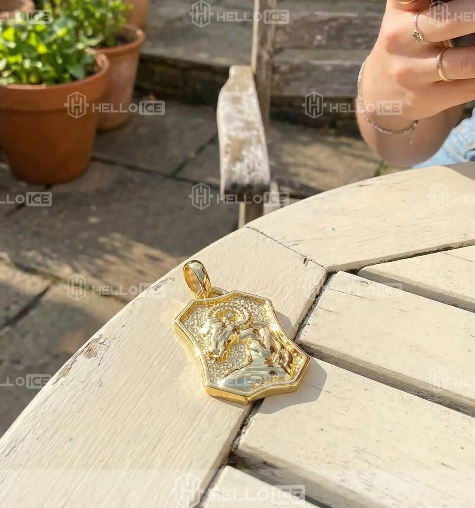 Helloice Review Image