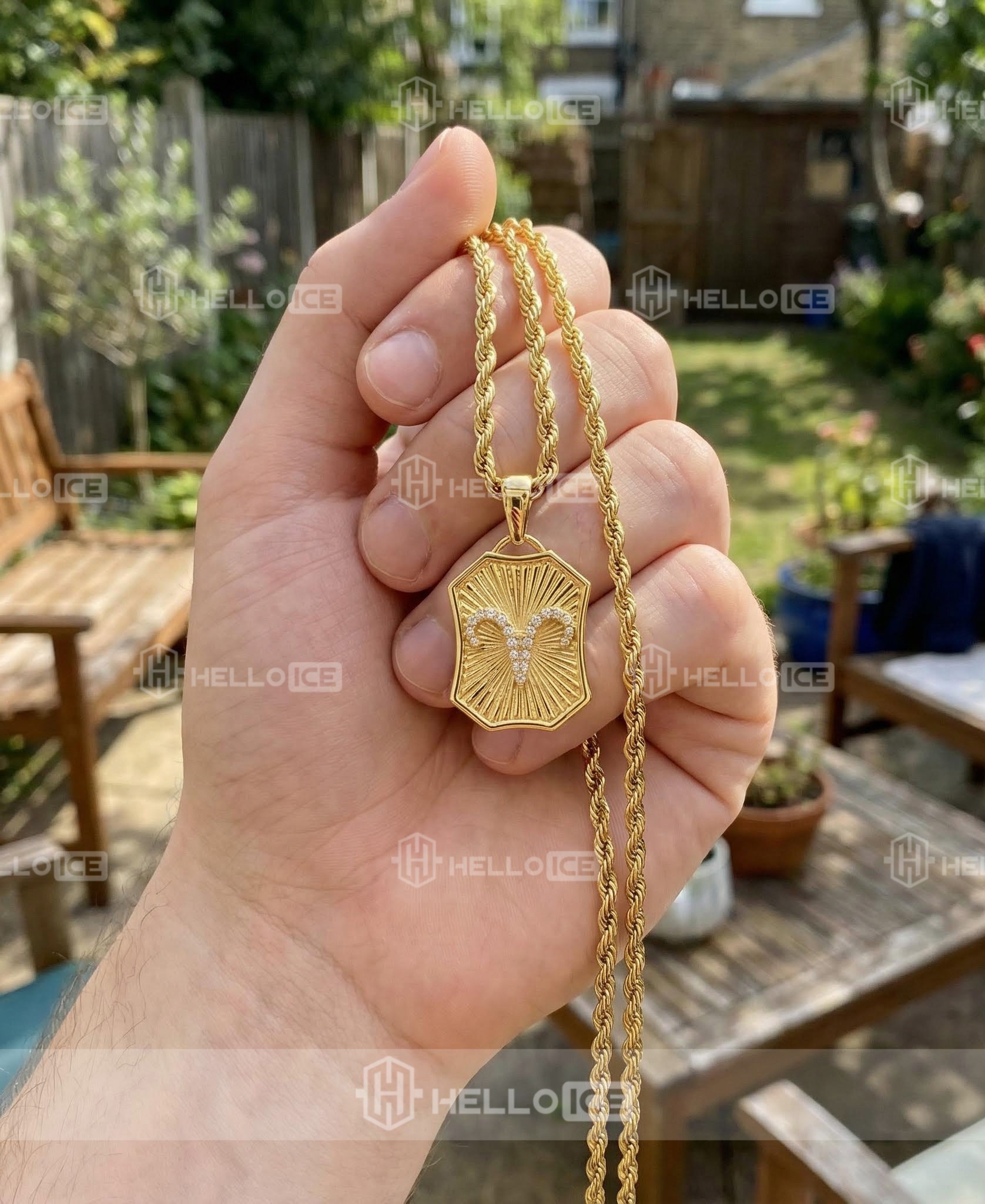 Helloice Review Image