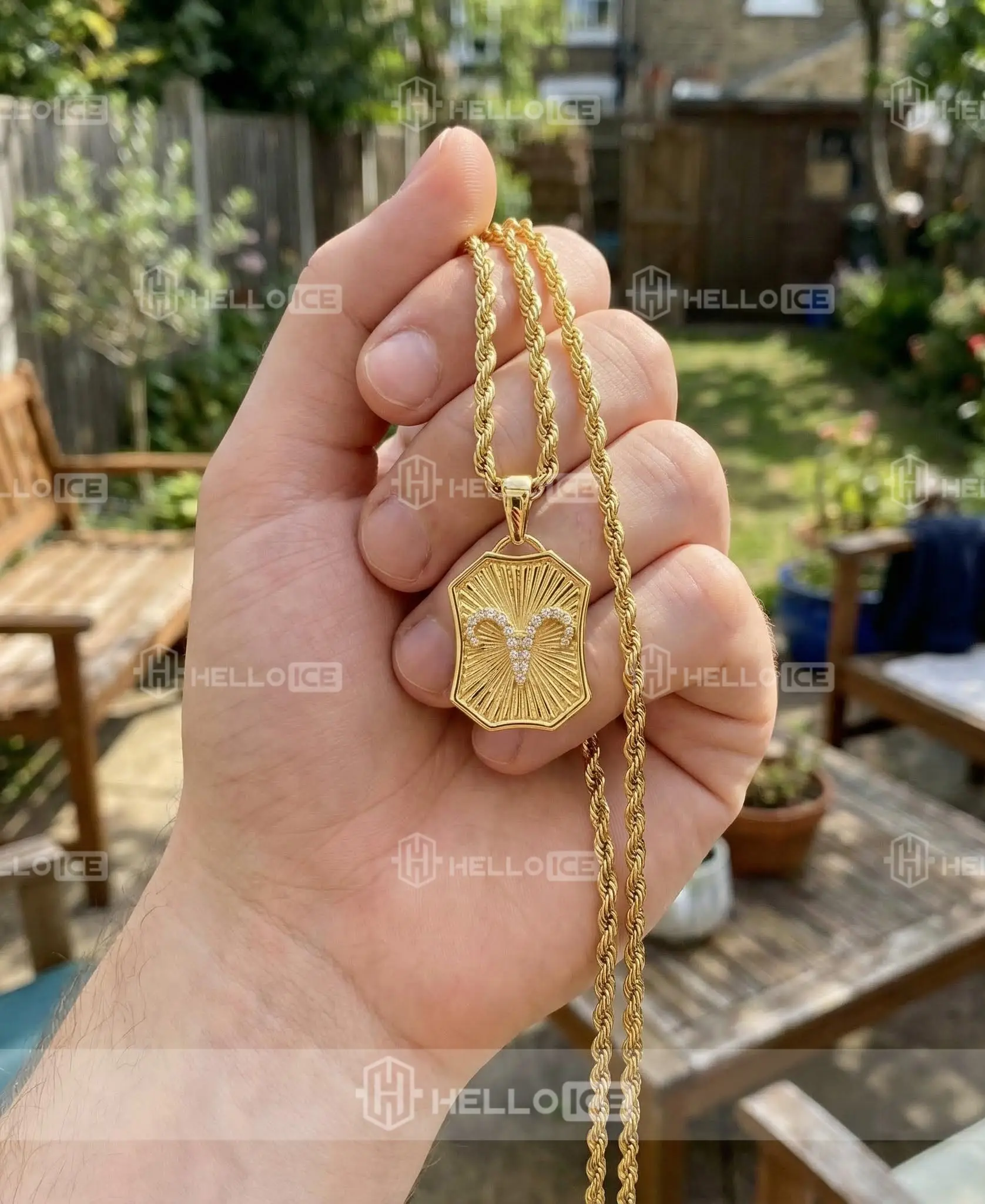 Helloice Review Image