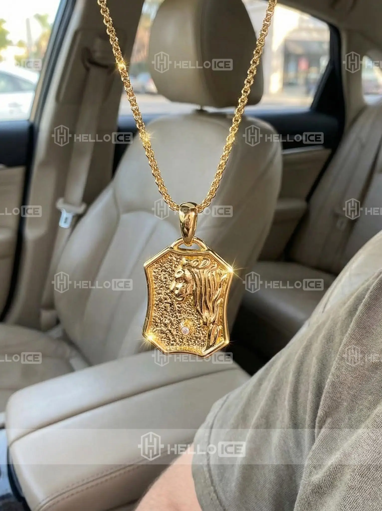 Helloice Review Image