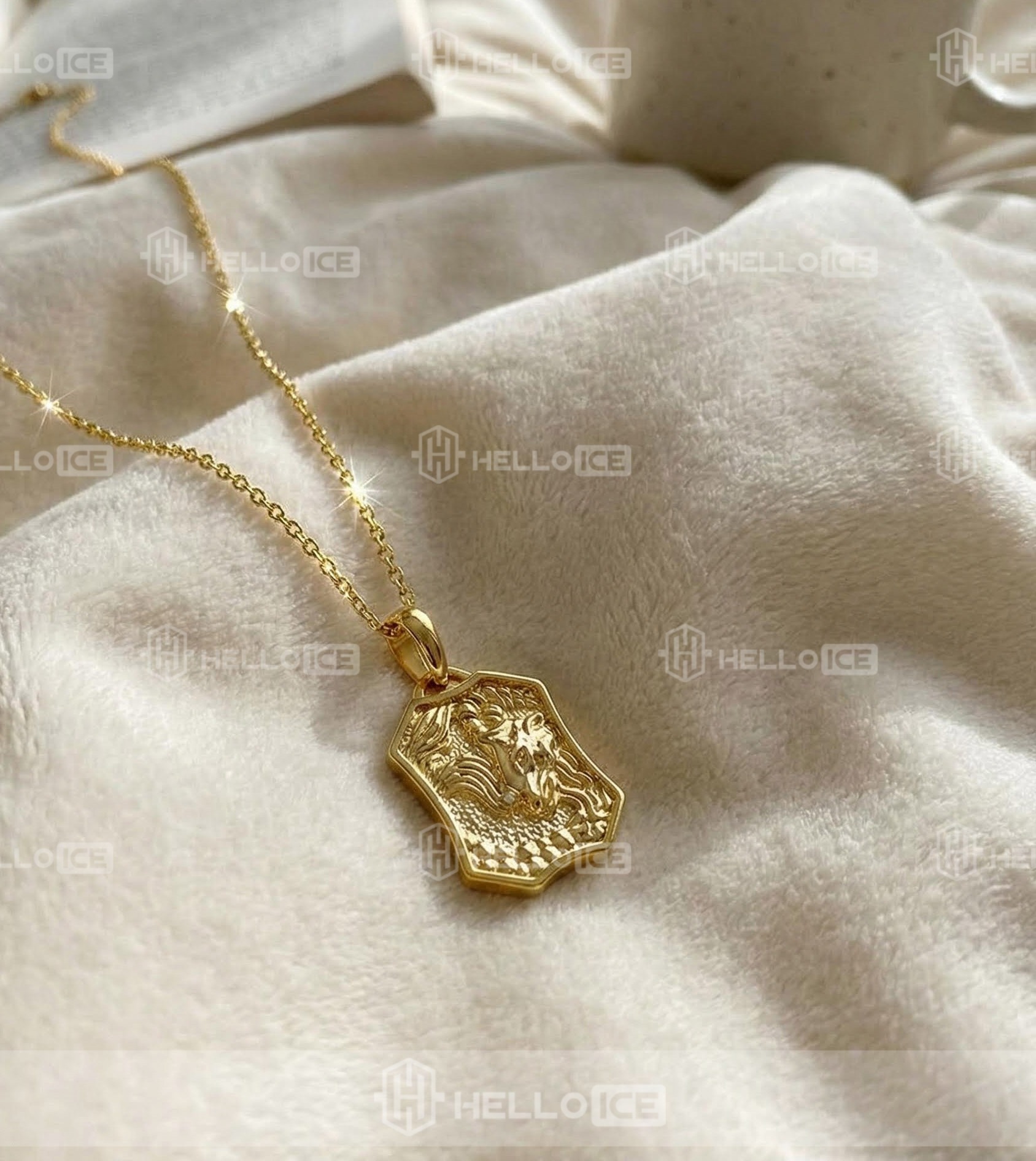 Helloice Review Image