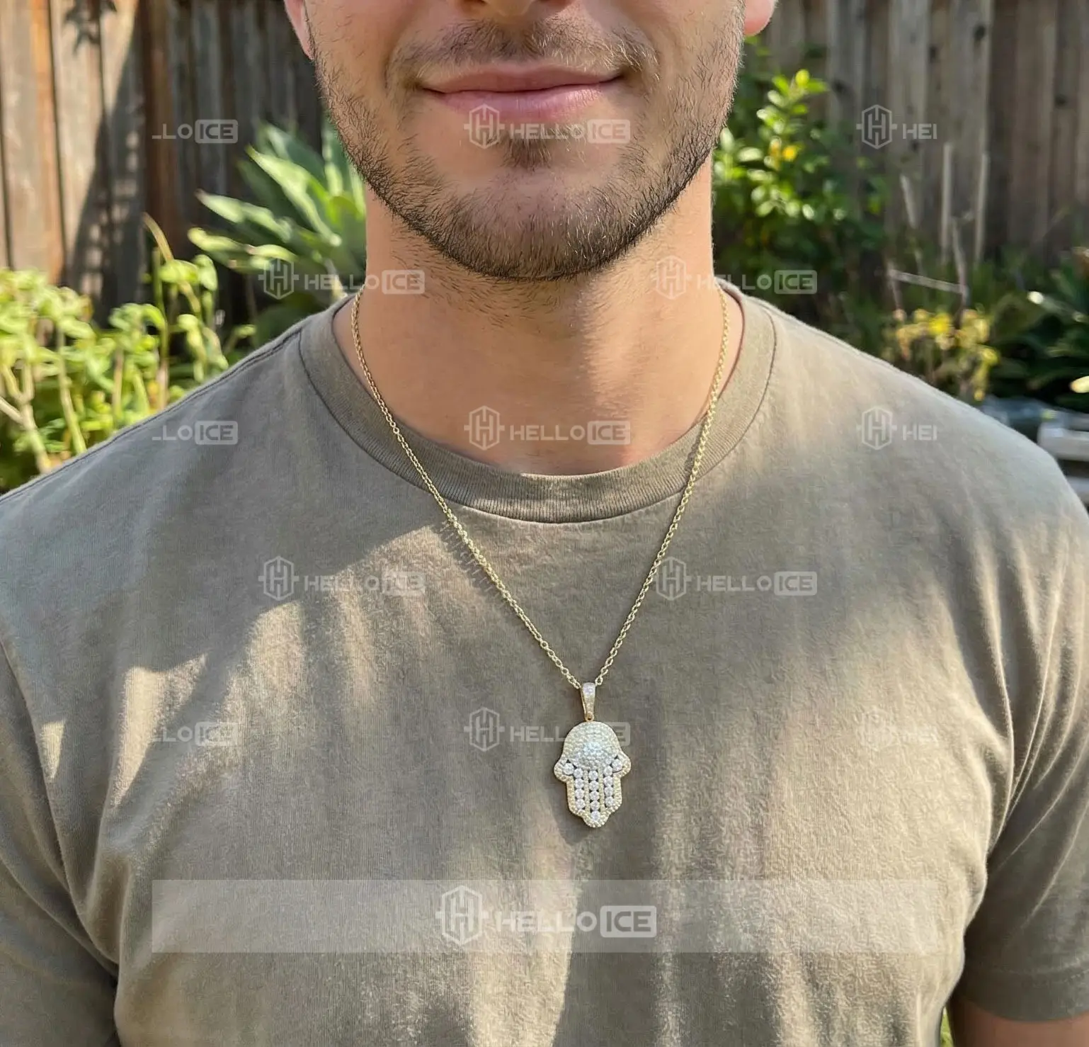 Helloice Review Image