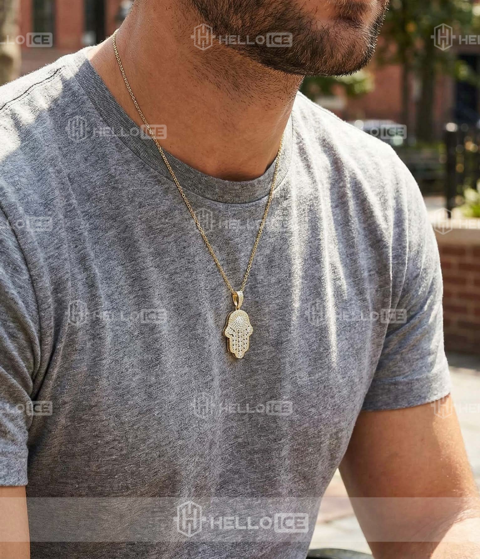 Helloice Review Image