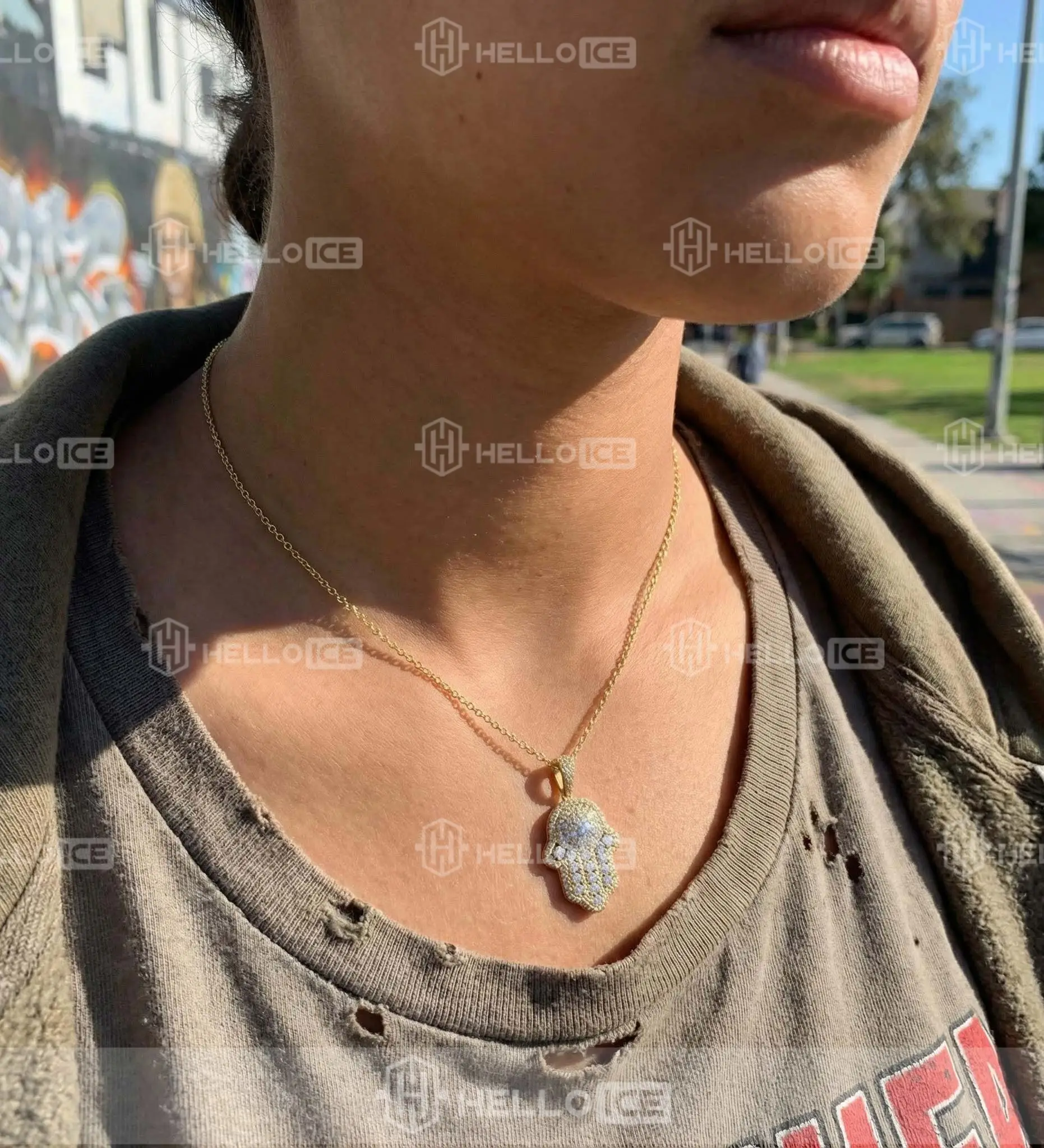 Helloice Review Image