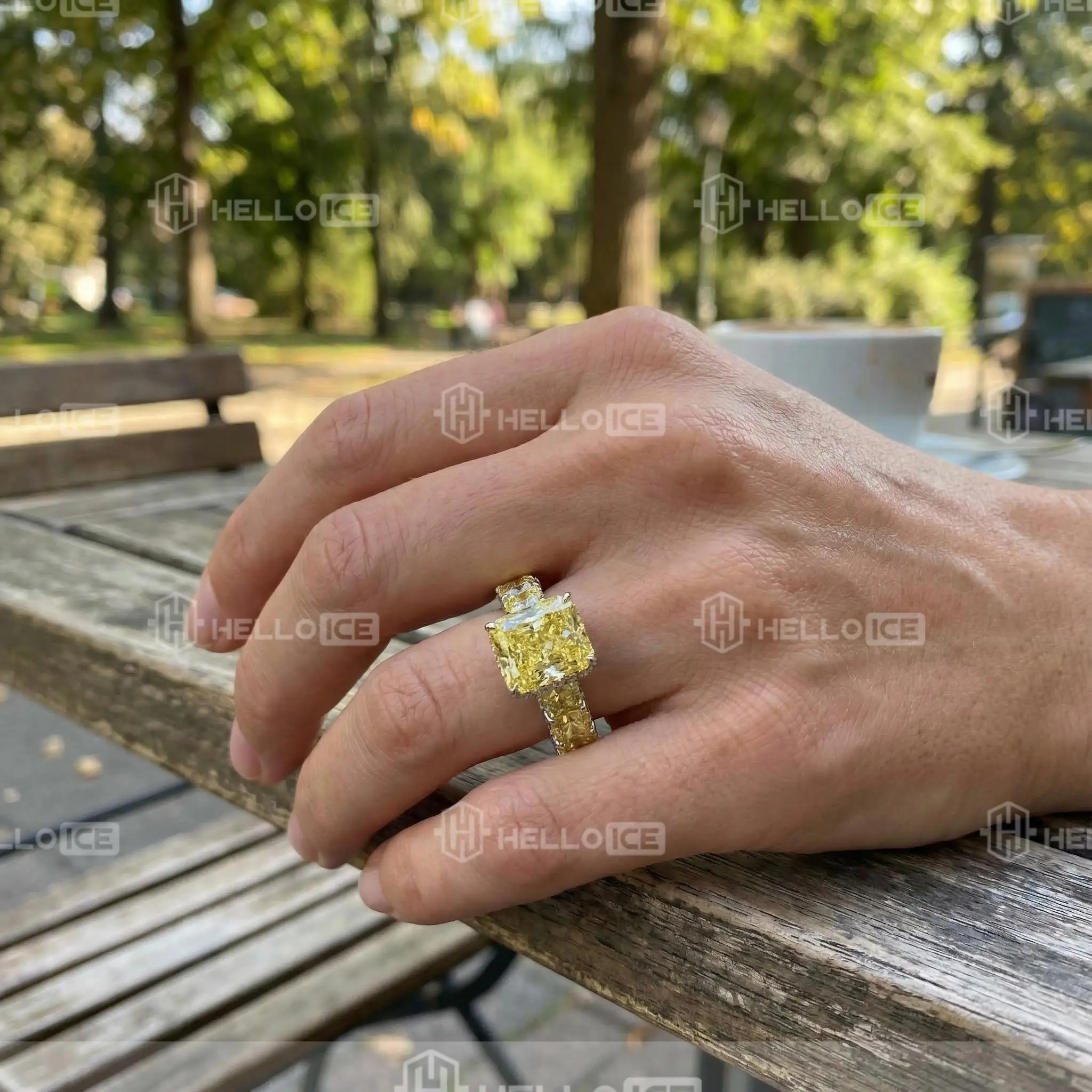 Helloice Review Image