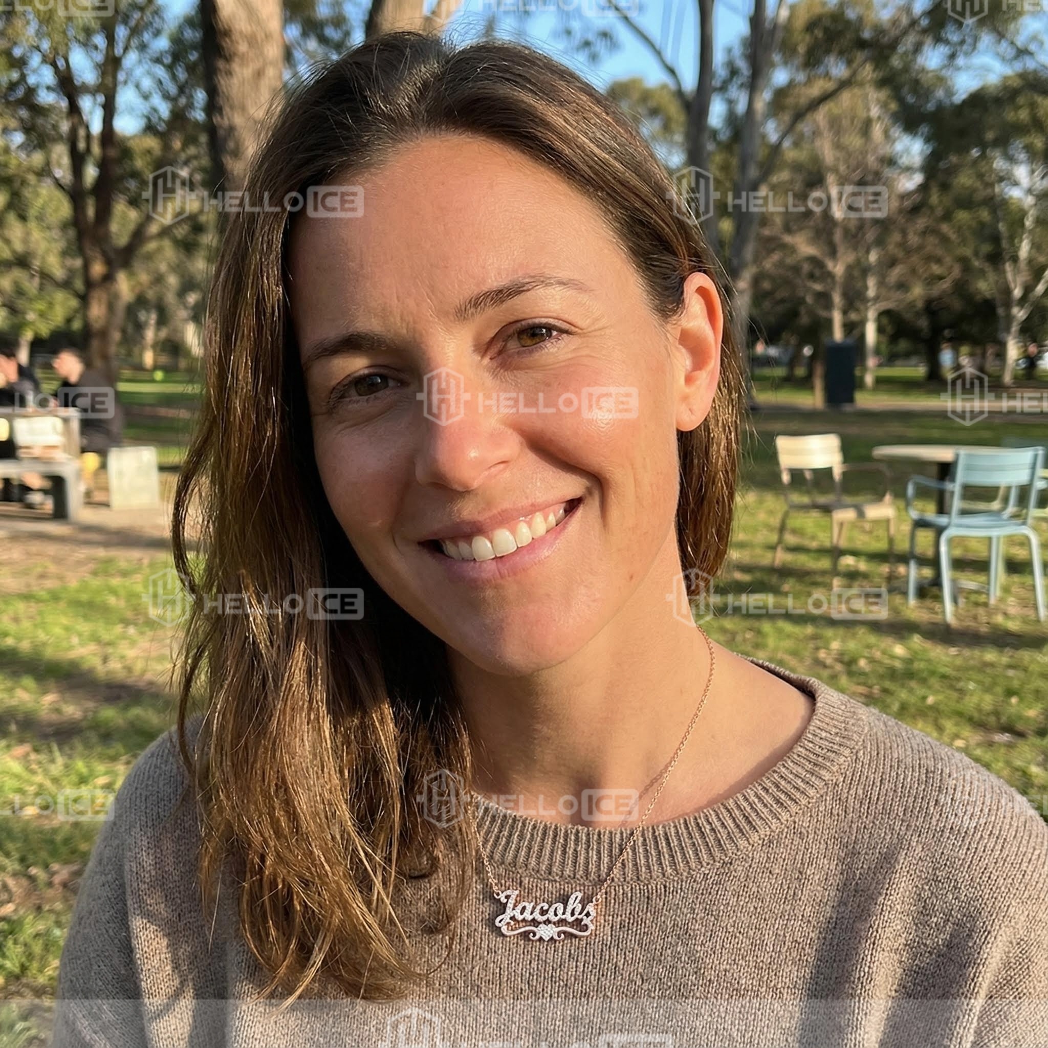 Helloice Review Image