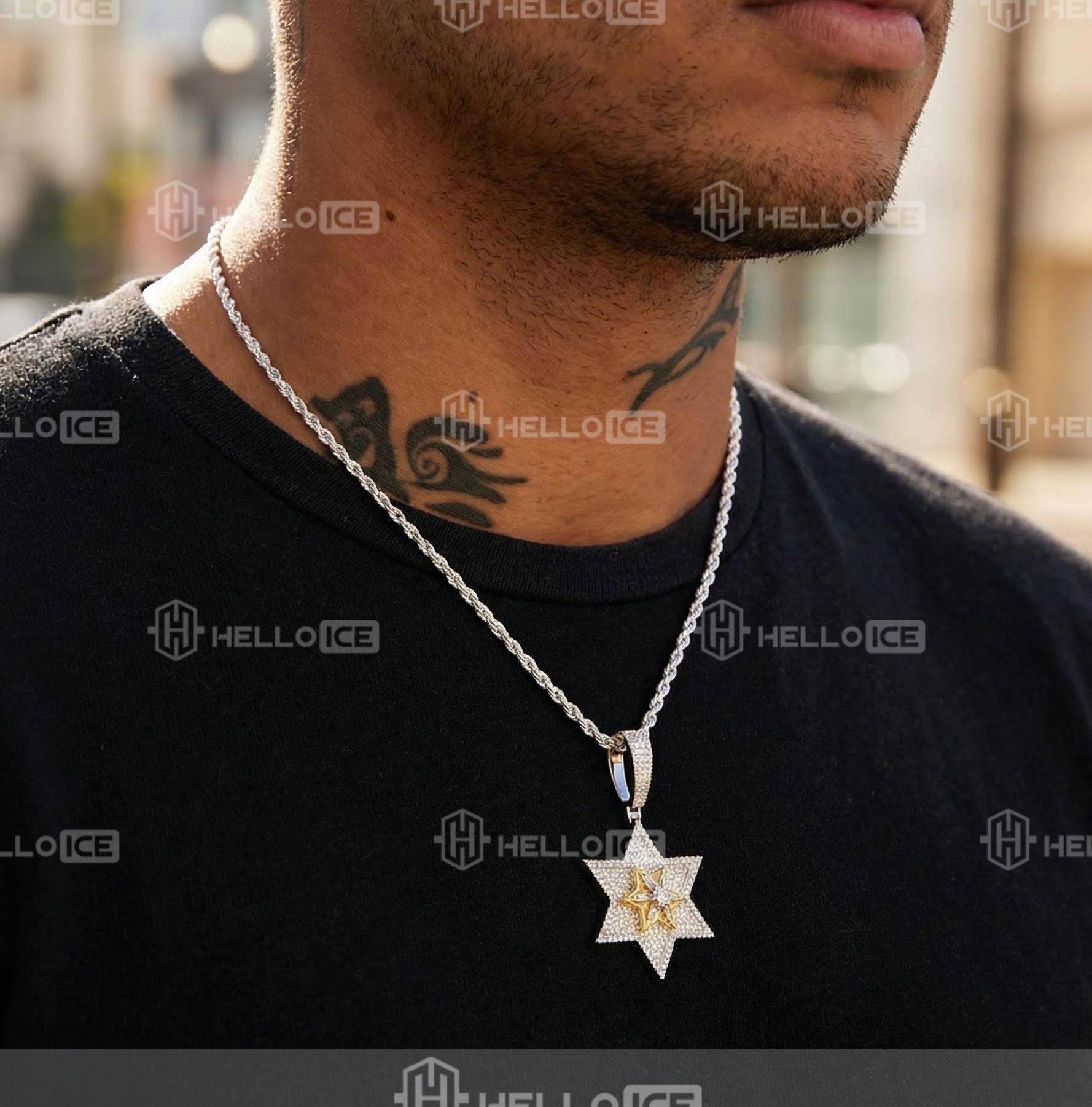 Helloice Review Image