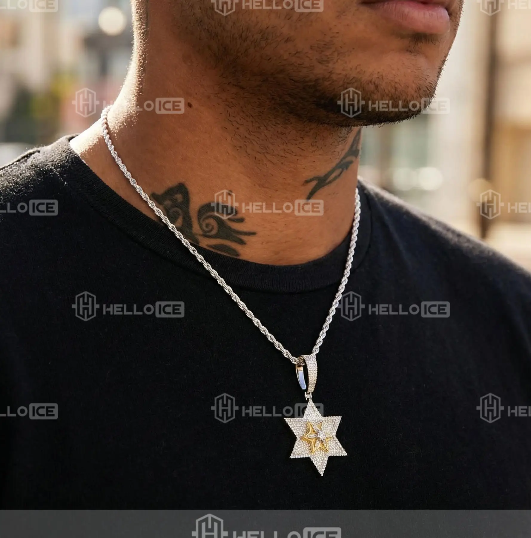 Helloice Review Image