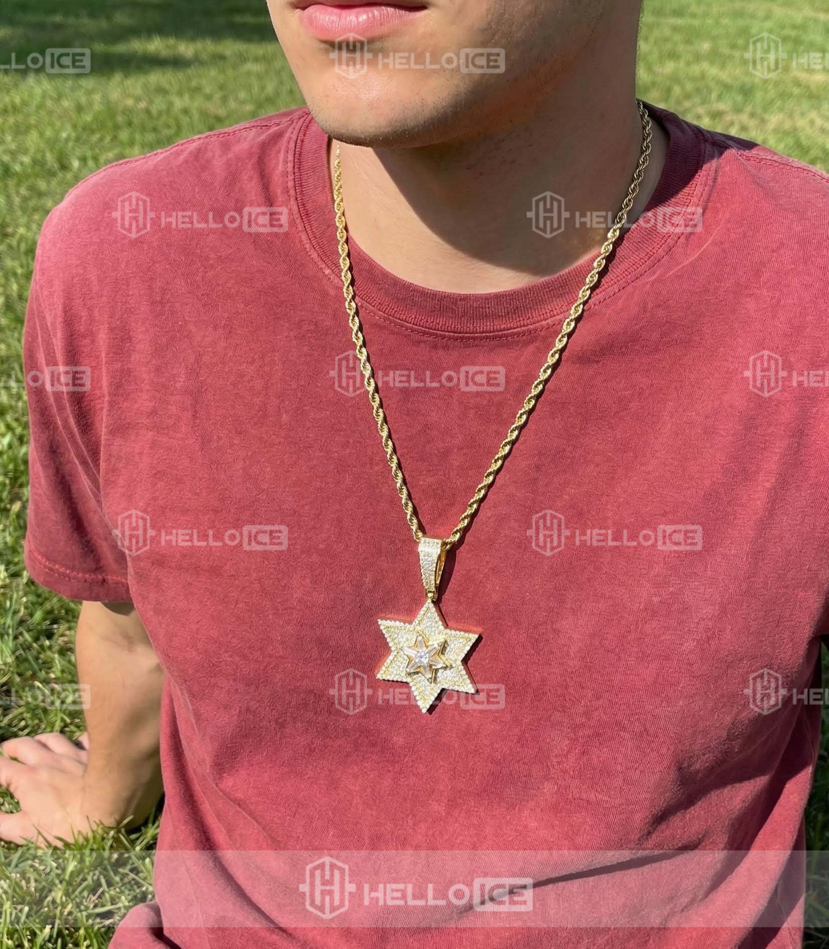 Helloice Review Image