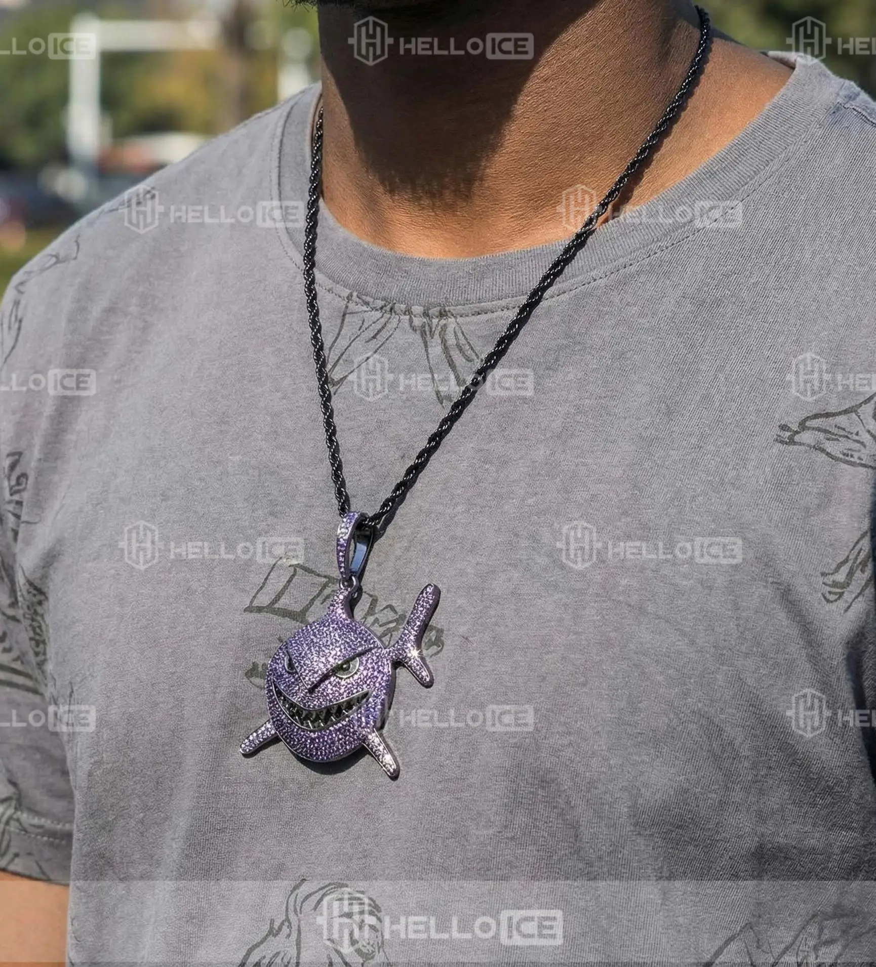 Helloice Review Image