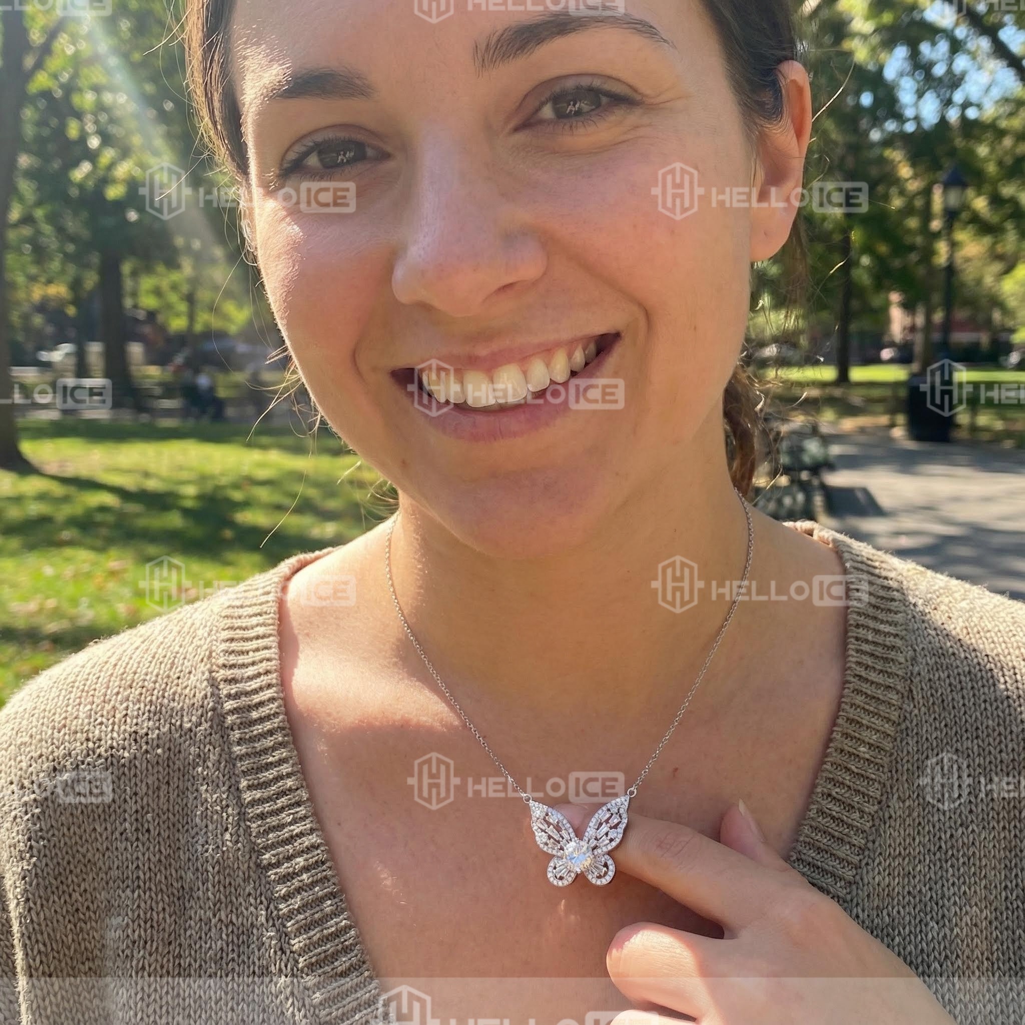 Helloice Review Image