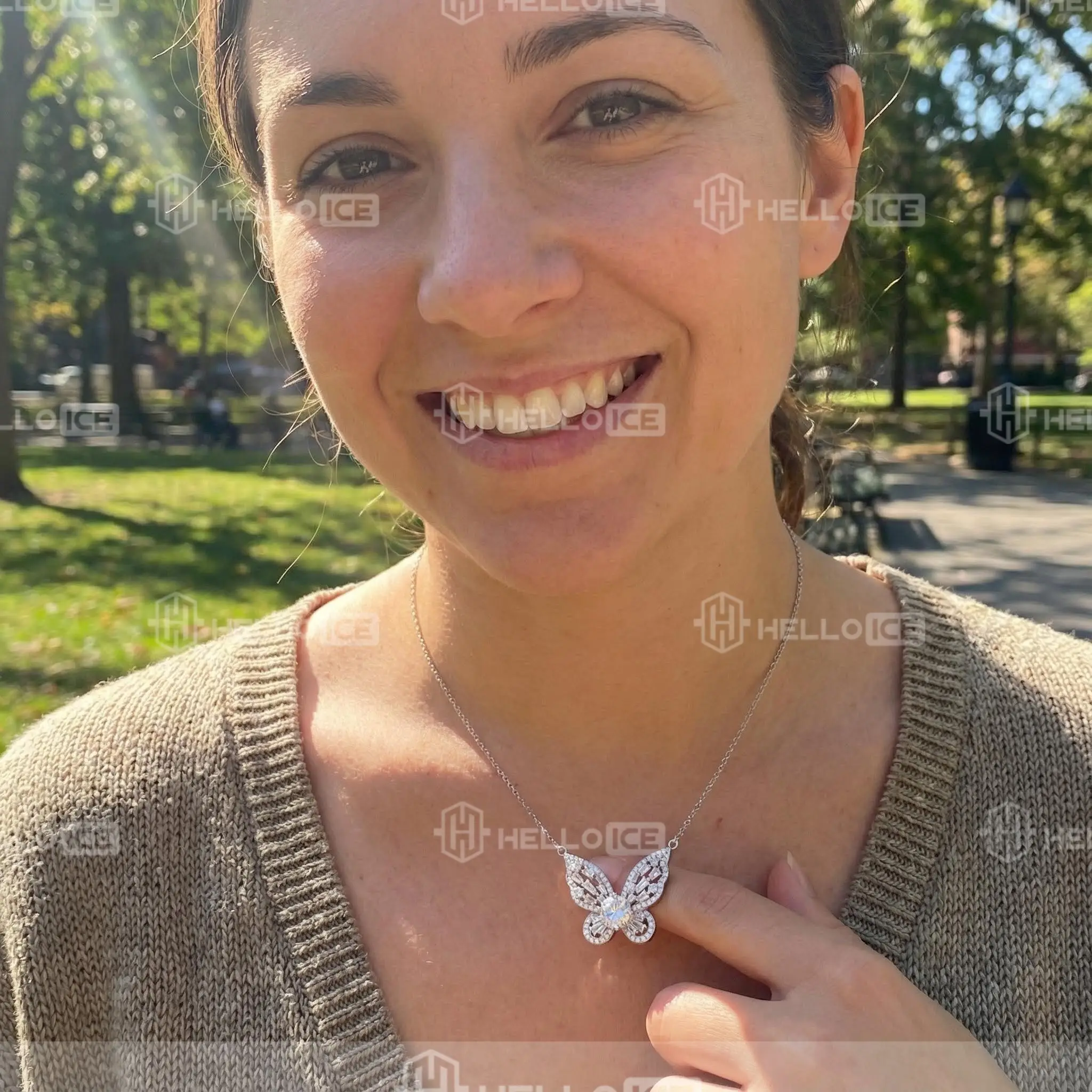 Helloice Review Image