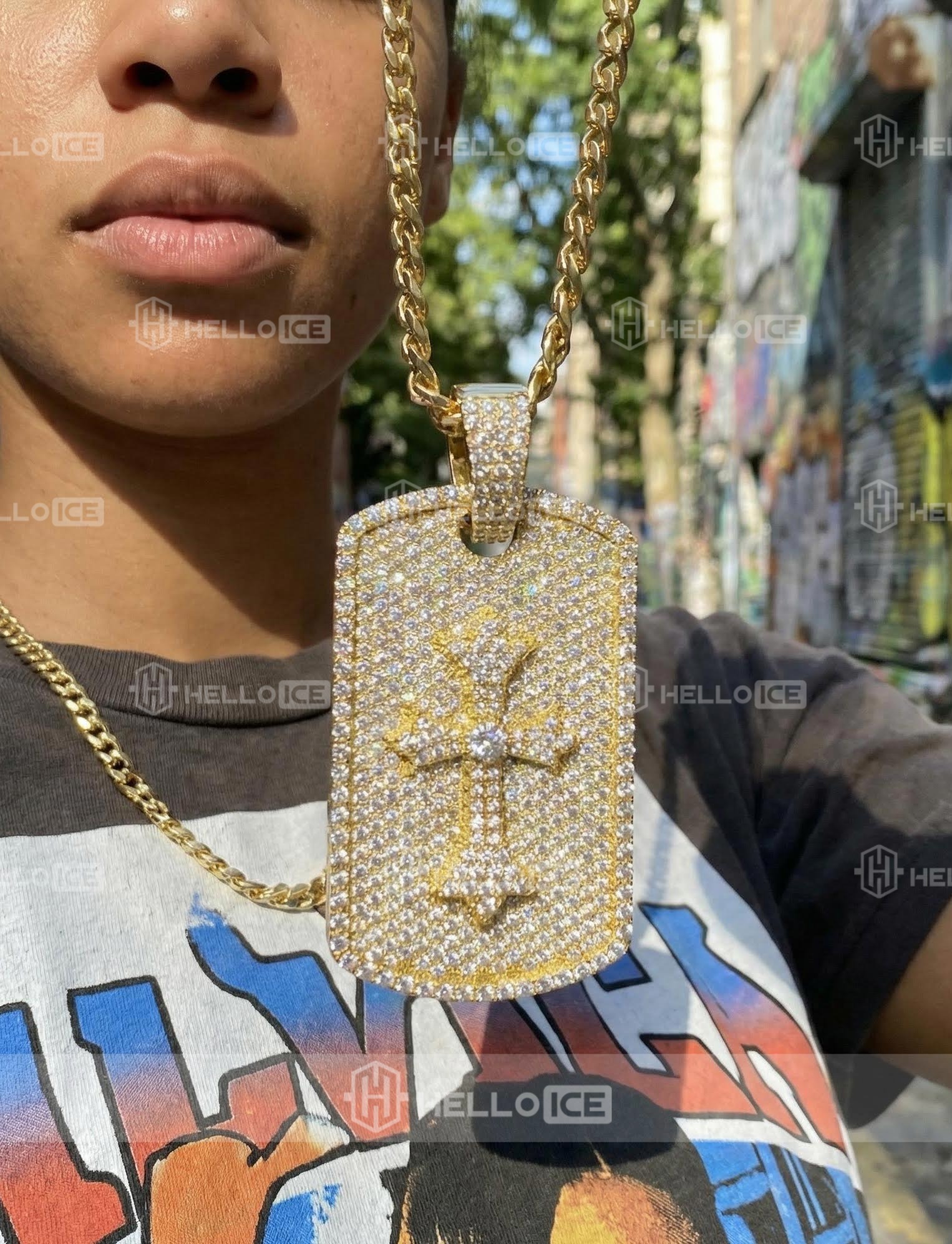 Helloice Review Image