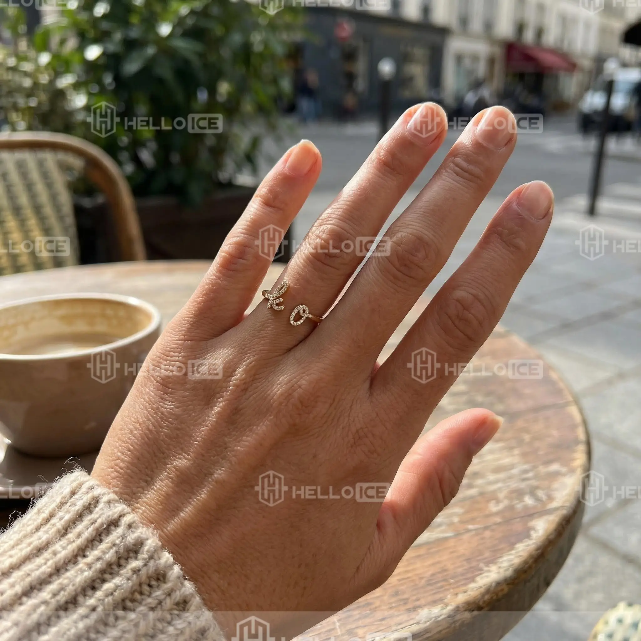 Helloice Review Image