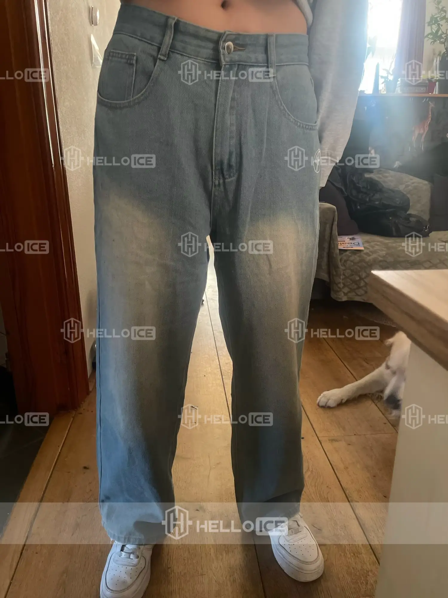 Helloice Review Image