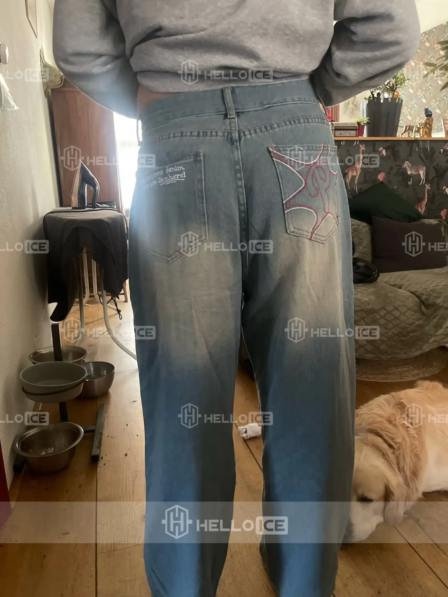 Helloice Review Image