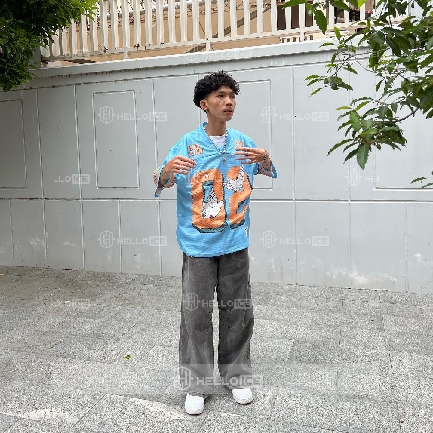 Helloice Review Image