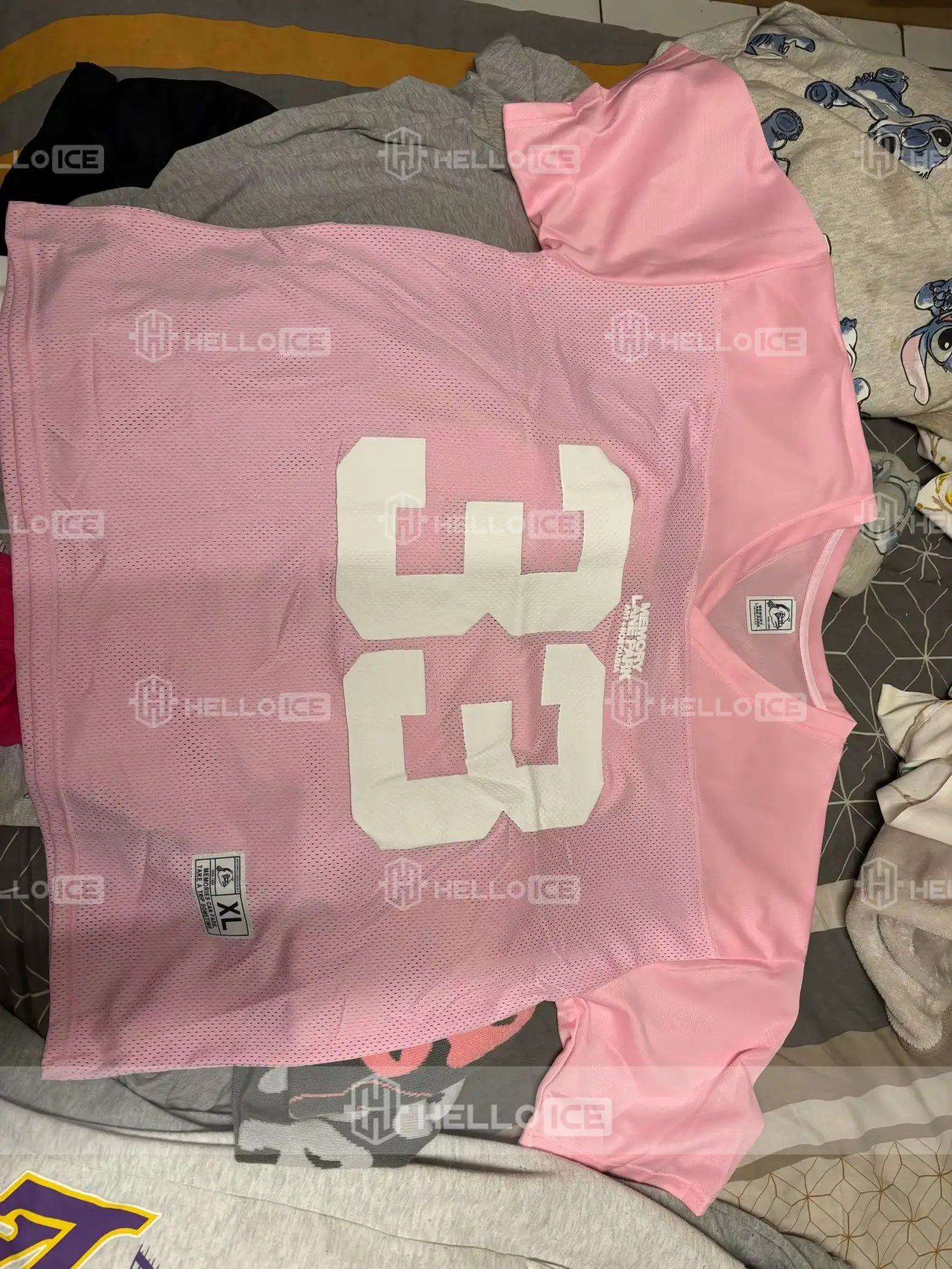 Helloice Review Image