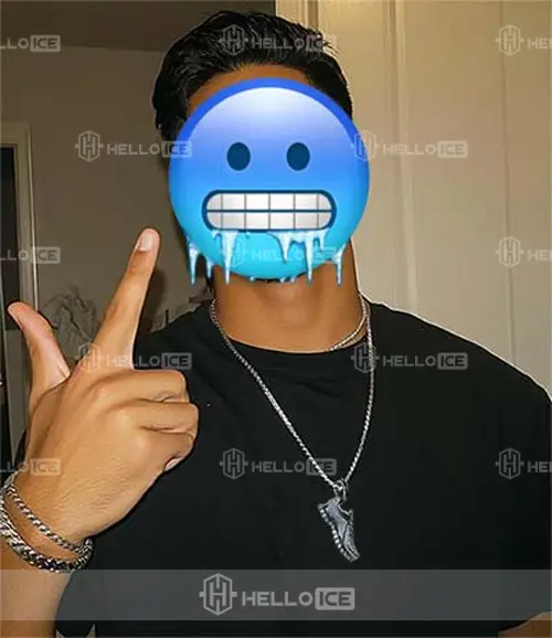 Helloice Review Image